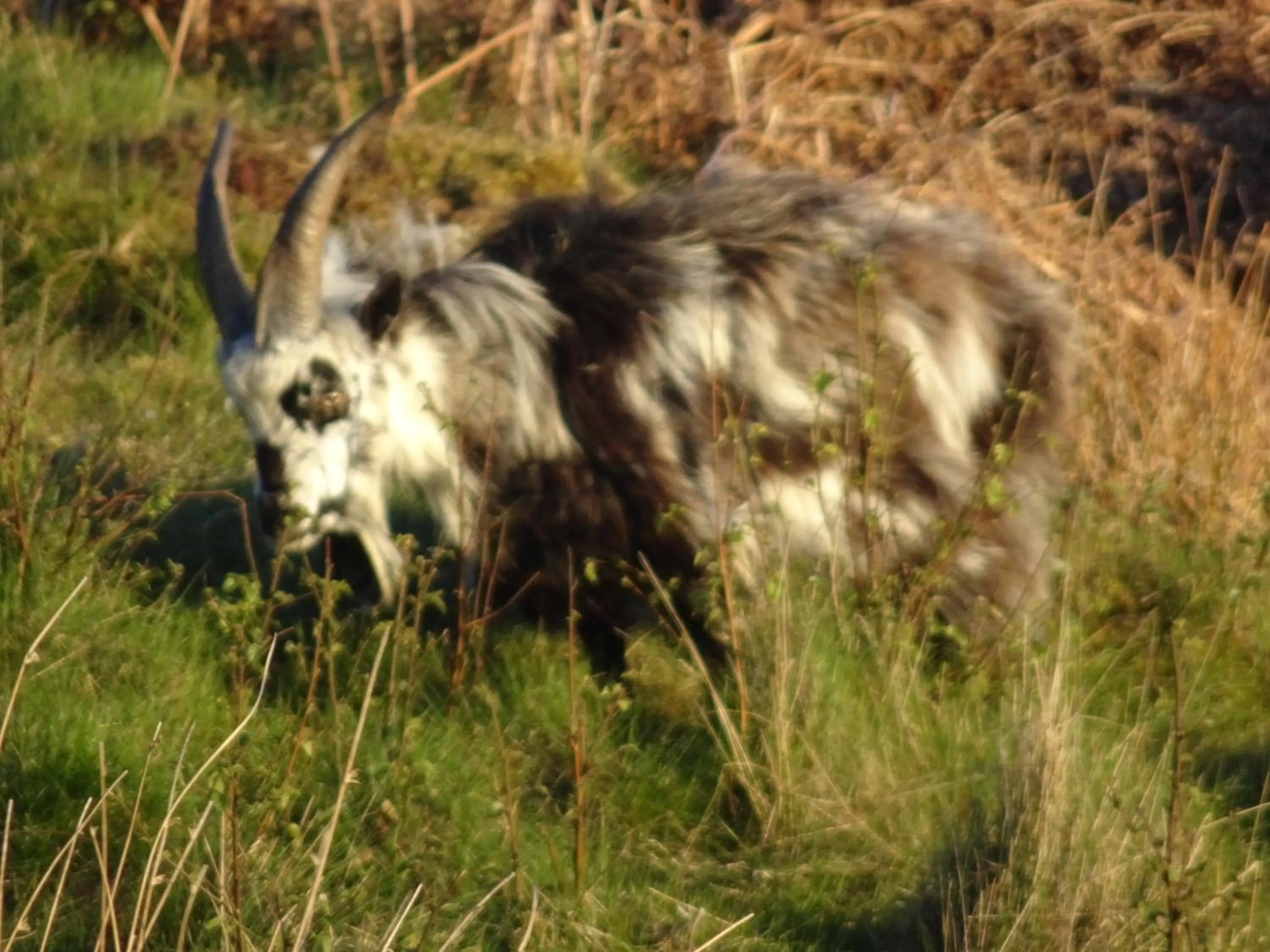 Natural landscape in Black Burn Lodge B & B