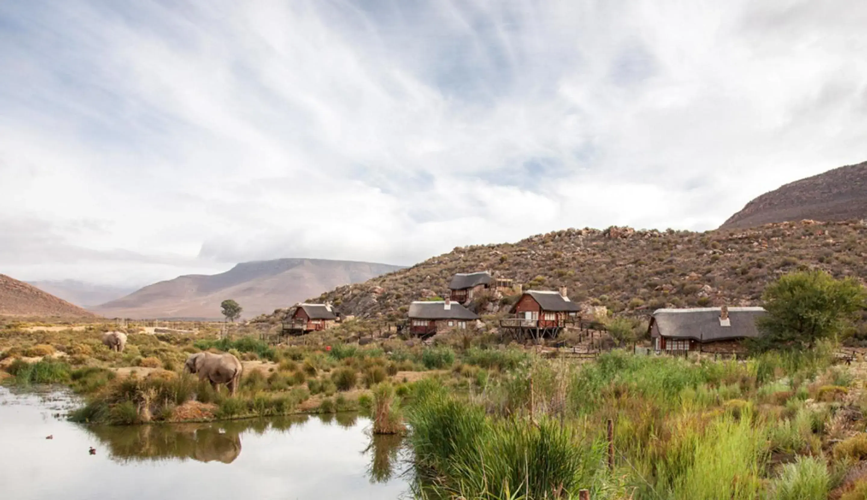 Premier Luxury Cottage King and Twin with 2 Game Drives - single occupancy in Aquila Private Game Reserve & Spa Premier Luxury Cottage King and Twin with 2 Game Drives - single occupancy in Aquila Private Game Reserve & Spa