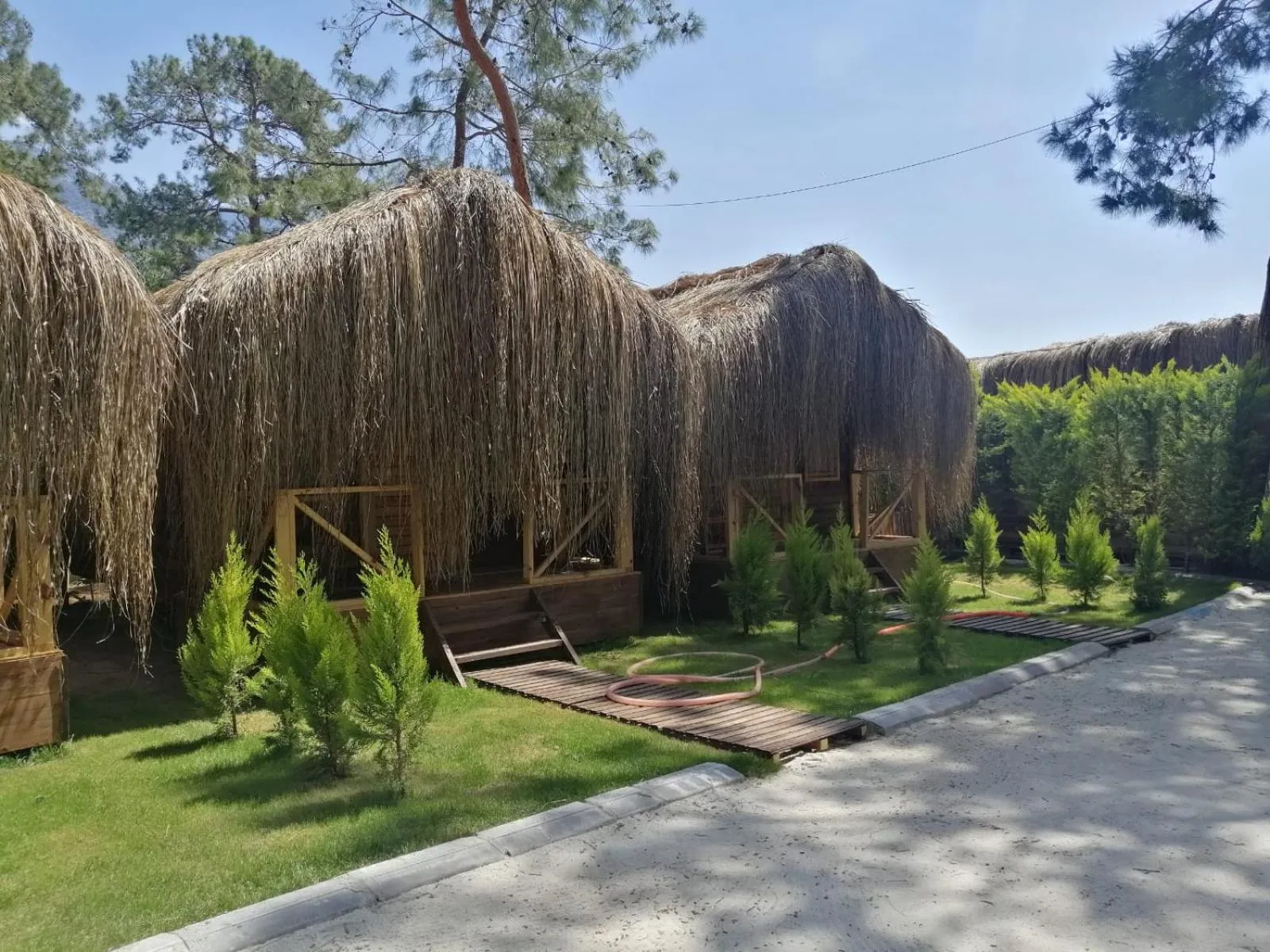 Natural landscape in Green Pine Bungalows & Beach Luxury Concept