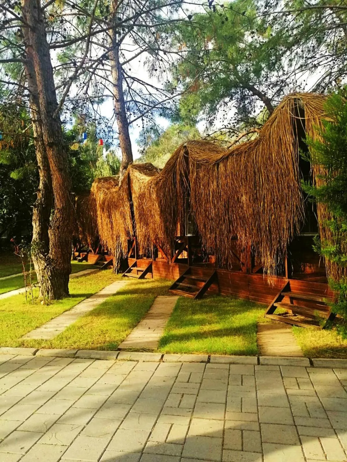 Property building in Green Pine Bungalows & Beach Luxury Concept