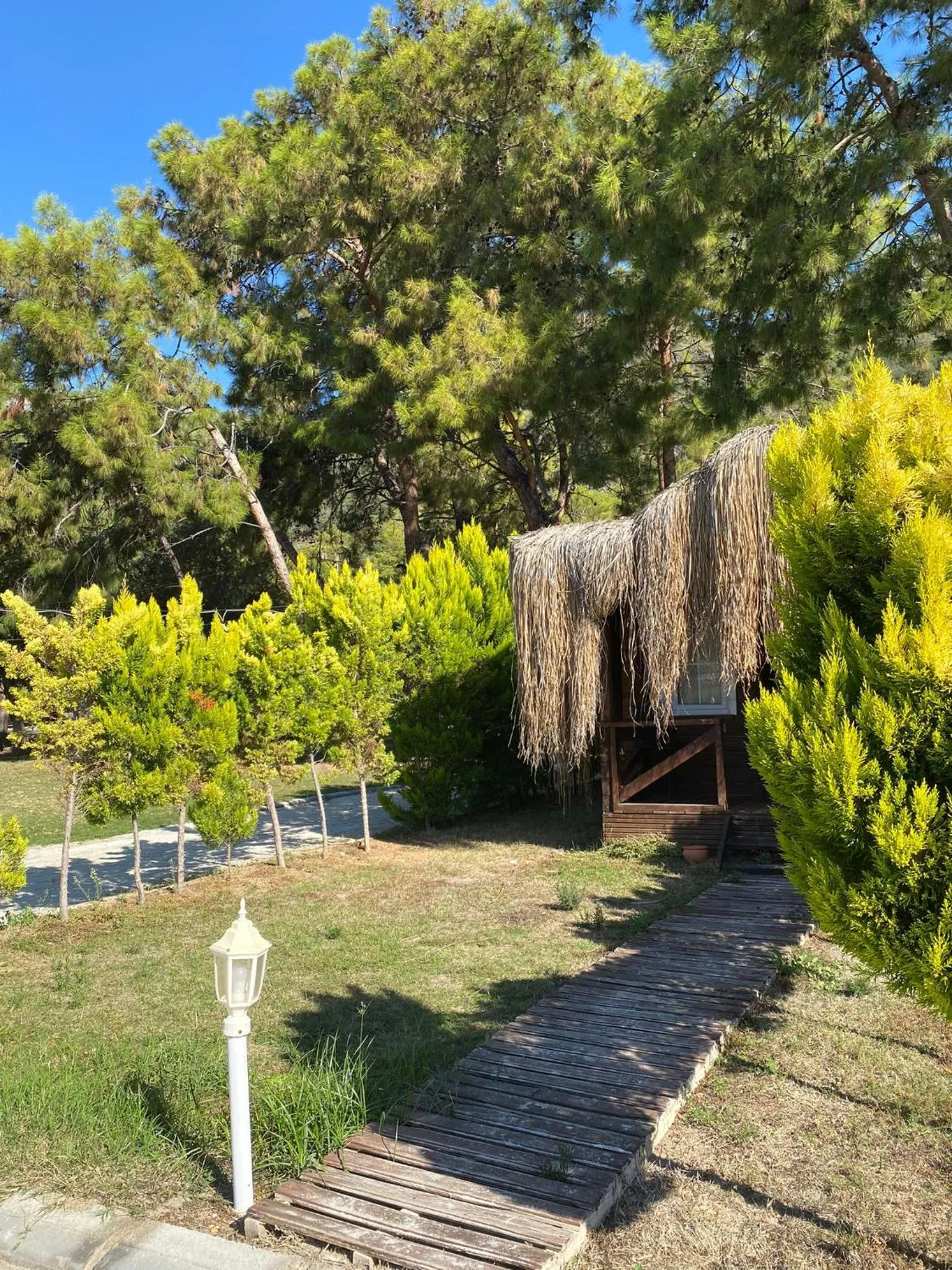 Day in Green Pine Bungalows & Beach Luxury Concept