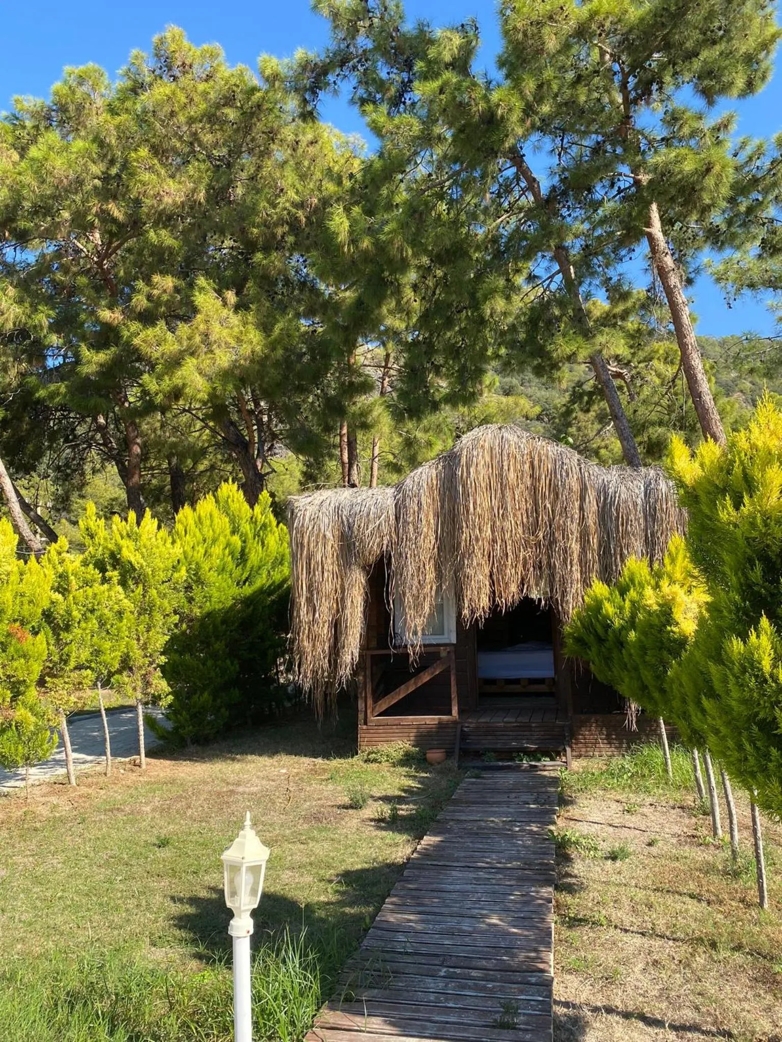 Day in Green Pine Bungalows & Beach Luxury Concept