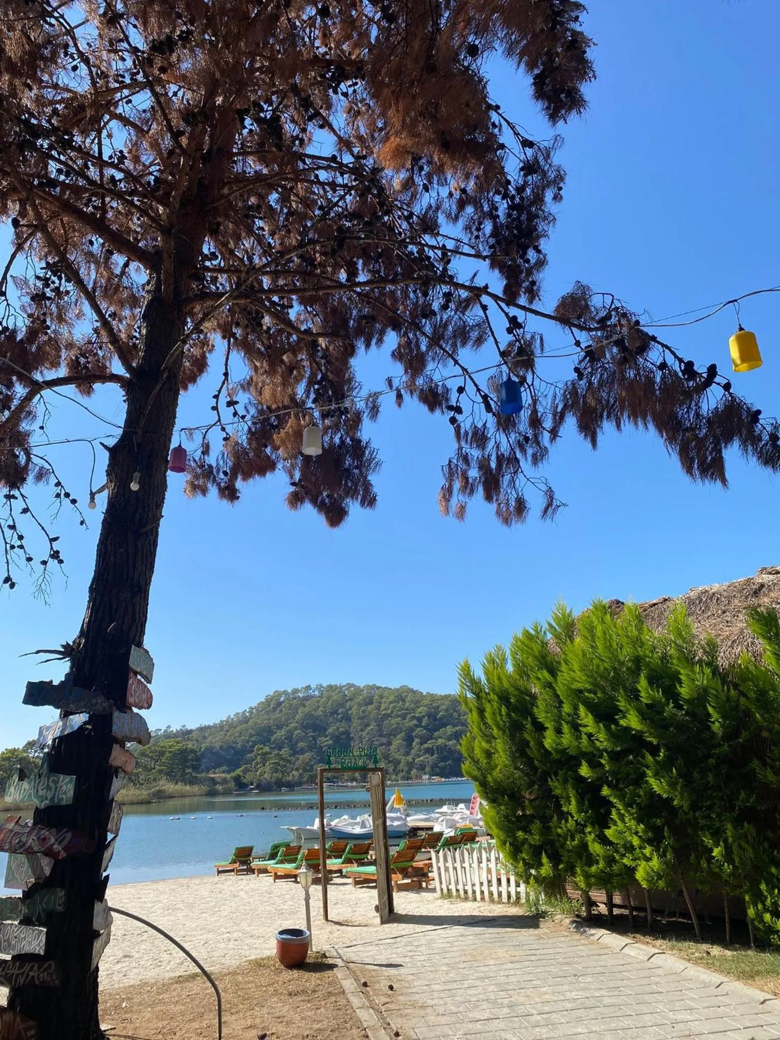 Natural landscape in Green Pine Bungalows & Beach Luxury Concept