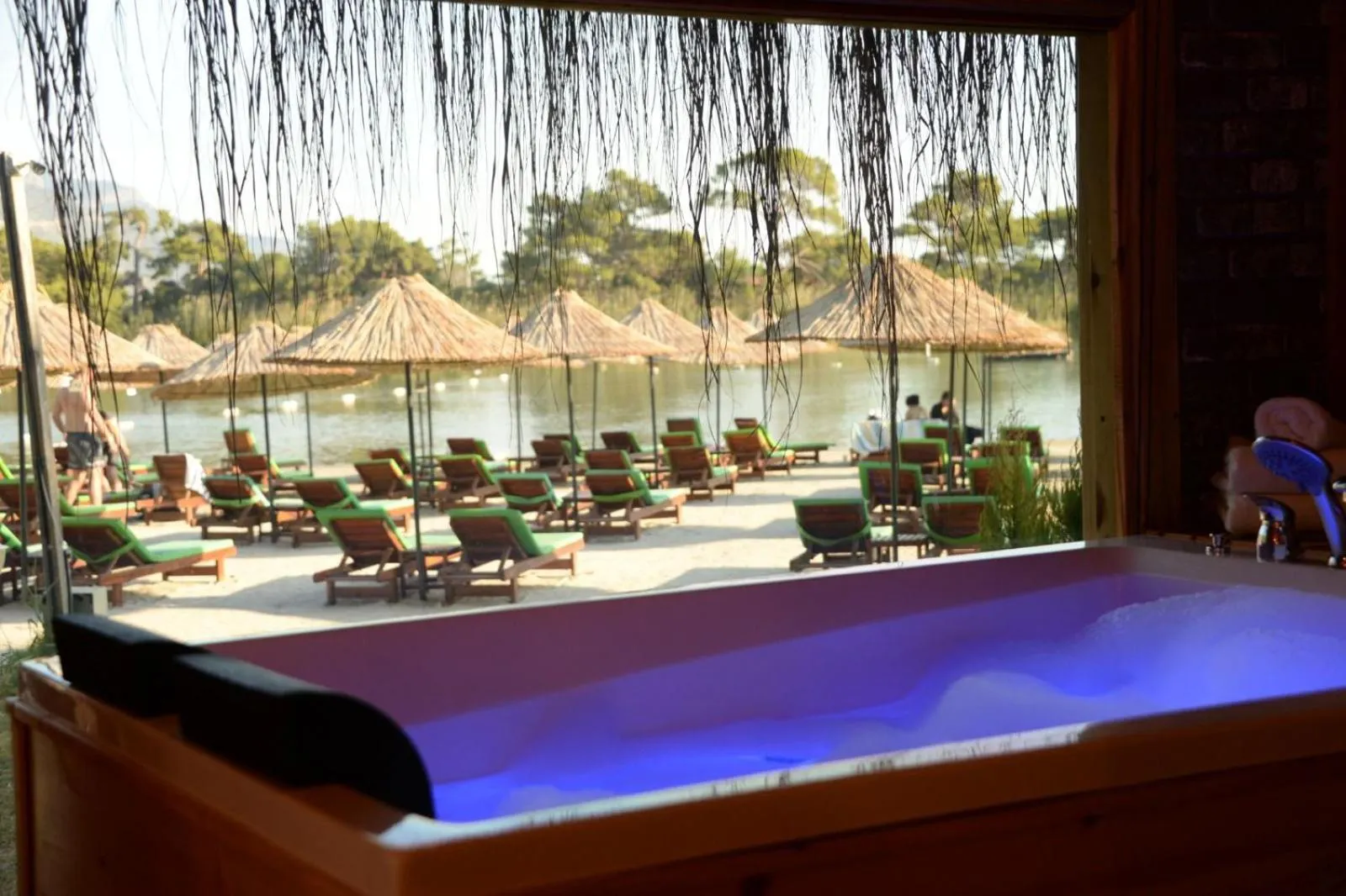 Green Pine Bungalows & Beach Luxury Concept