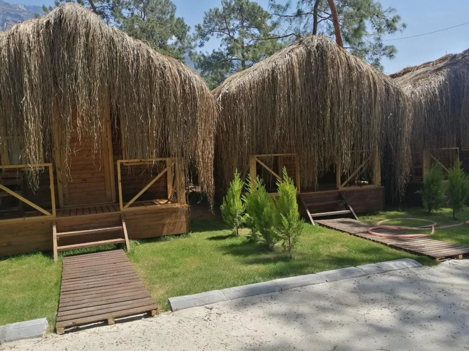 Day in Green Pine Bungalows & Beach Luxury Concept