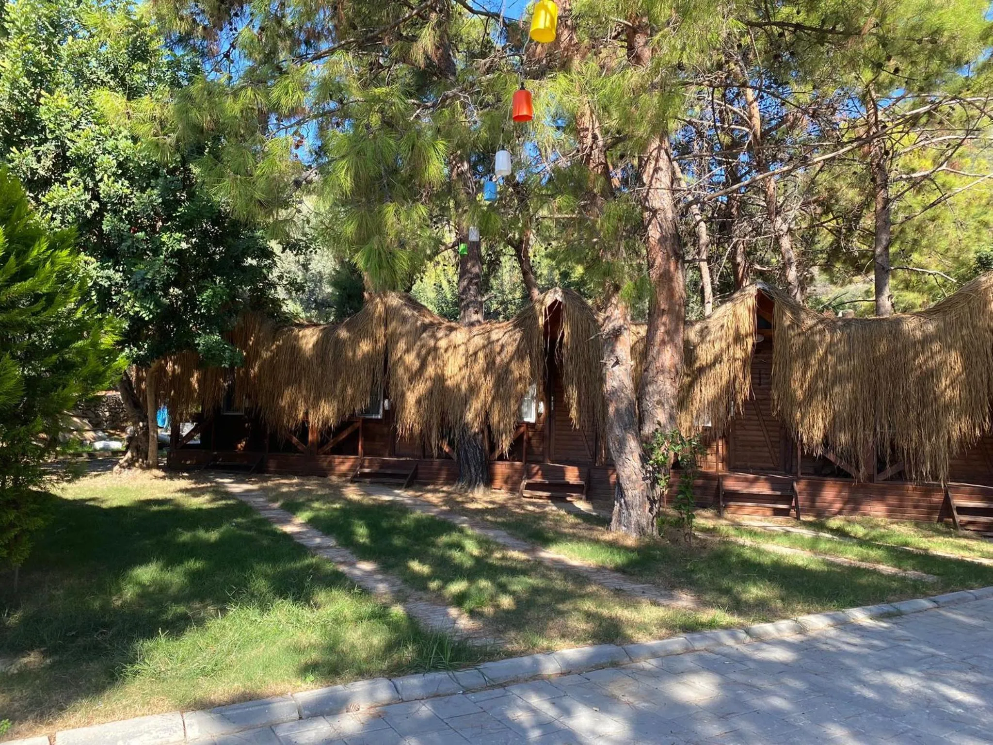 Day in Green Pine Bungalows & Beach Luxury Concept