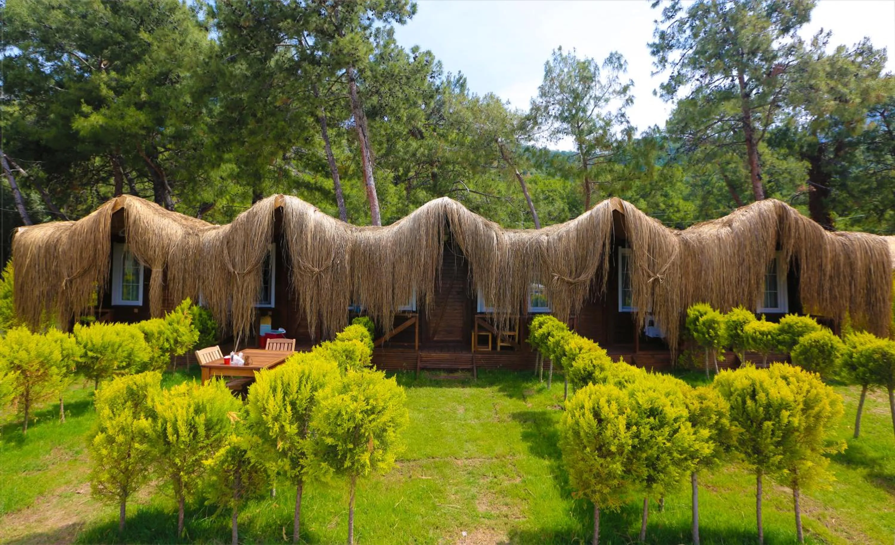 Natural landscape in Green Pine Bungalows & Beach Luxury Concept