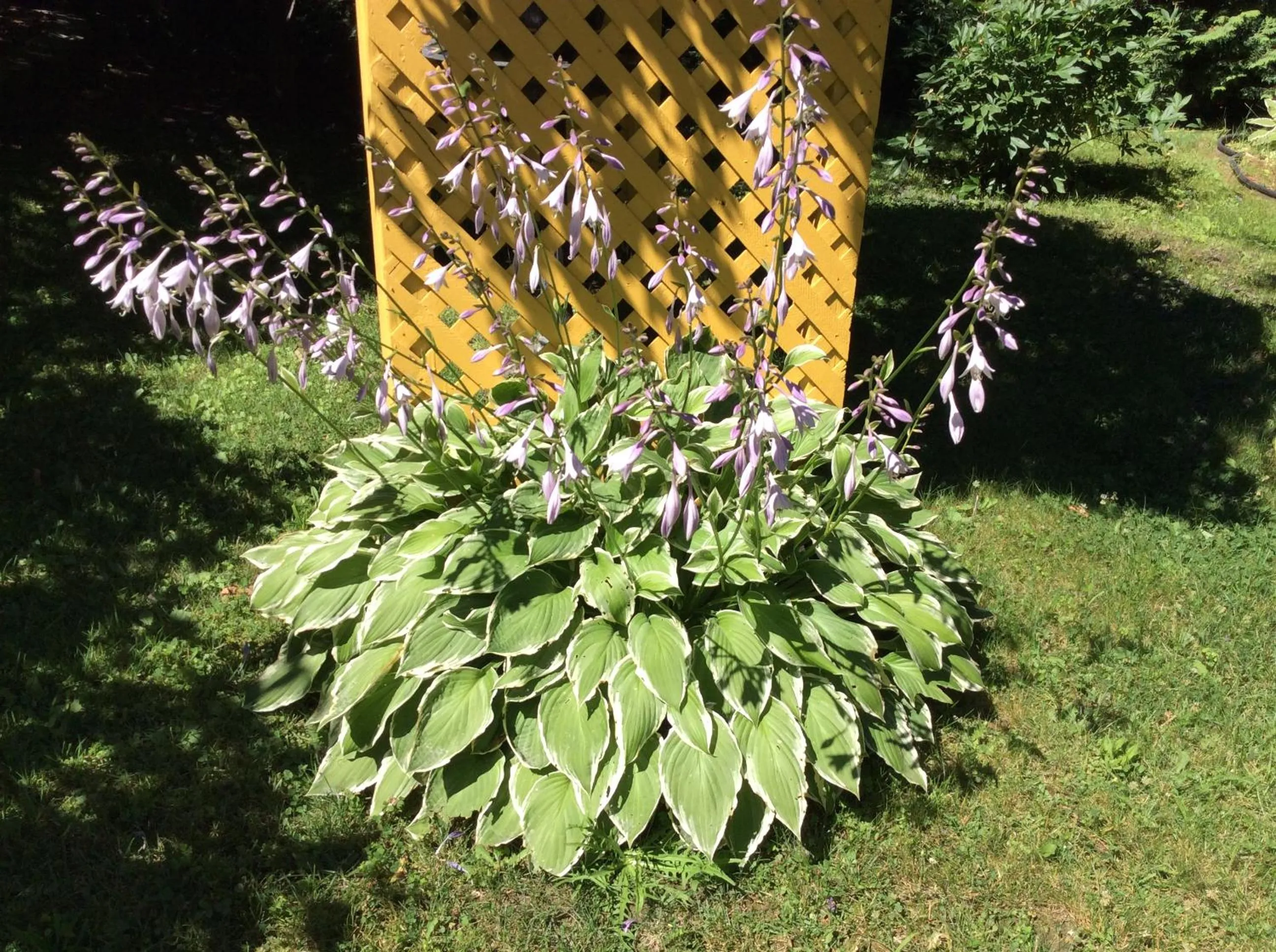 Natural landscape in Chez Lulu et Lutin