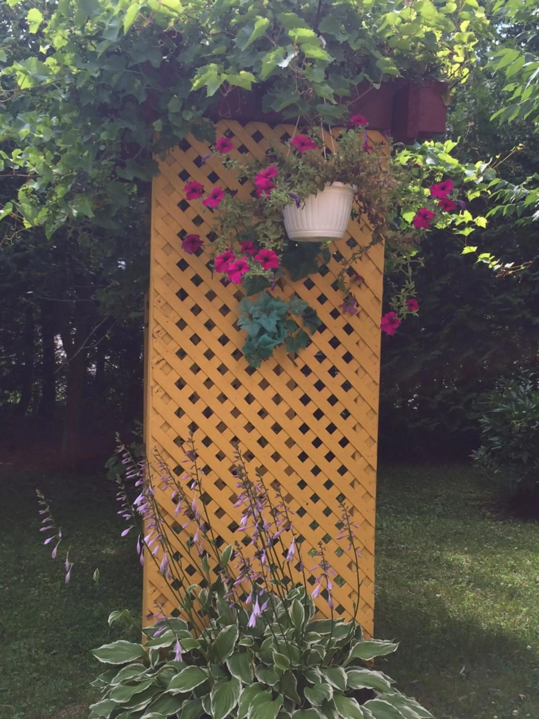 Natural landscape in Chez Lulu et Lutin