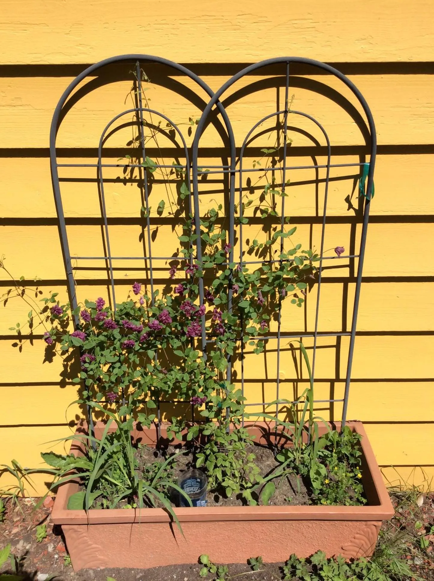 Natural landscape in Chez Lulu et Lutin