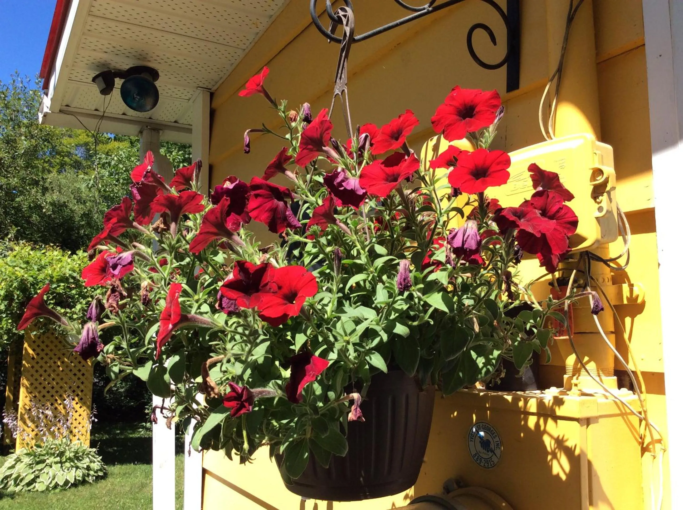 Natural landscape in Chez Lulu et Lutin