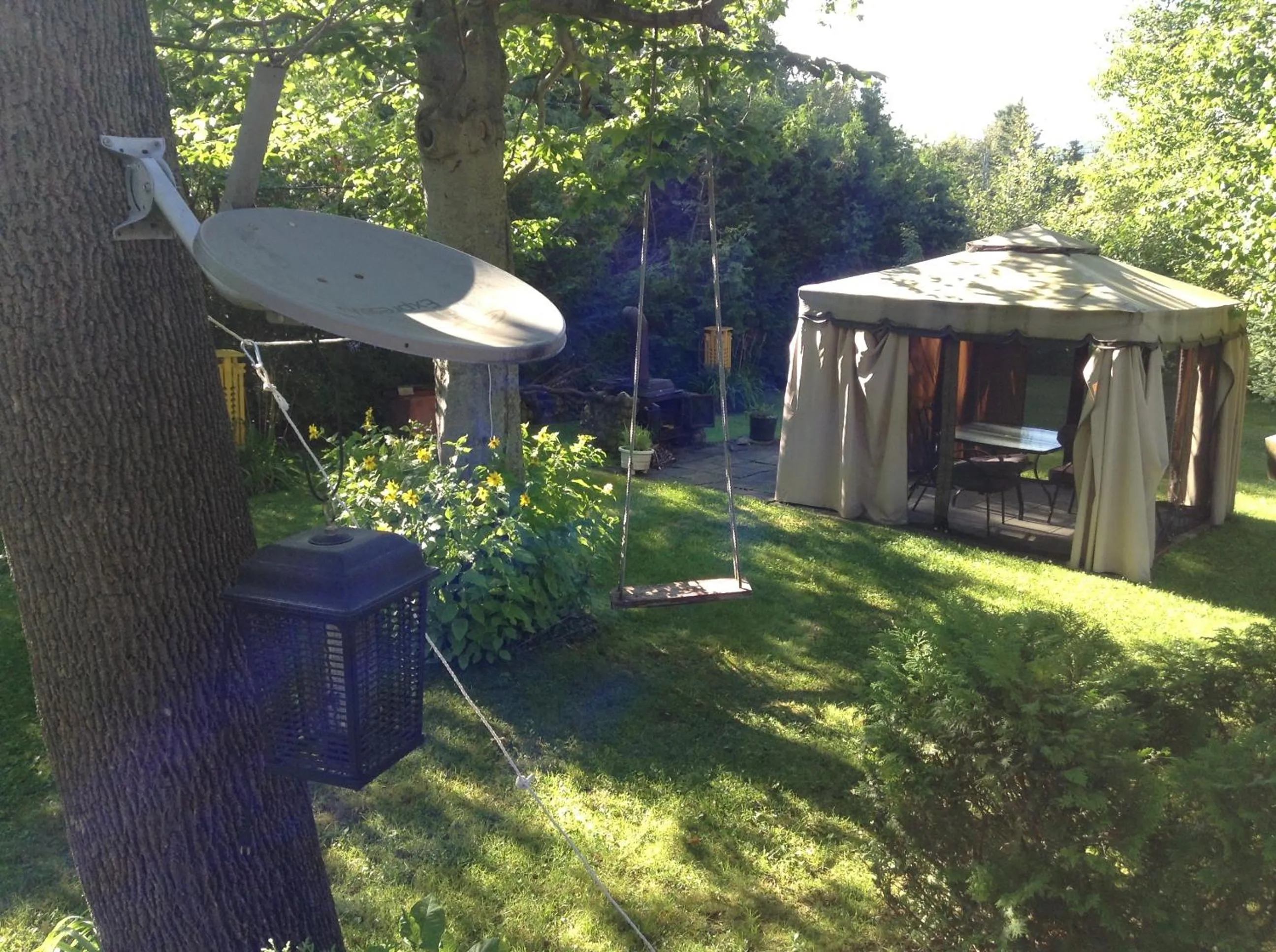 Garden in Chez Lulu et Lutin