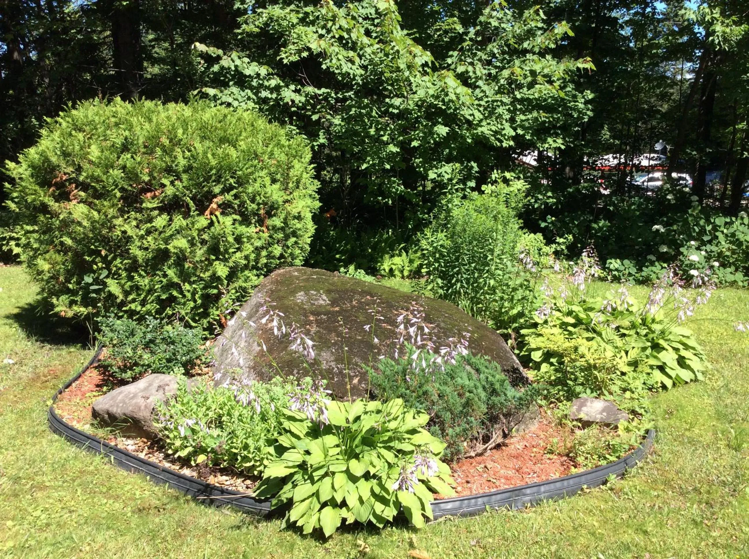 Natural landscape in Chez Lulu et Lutin