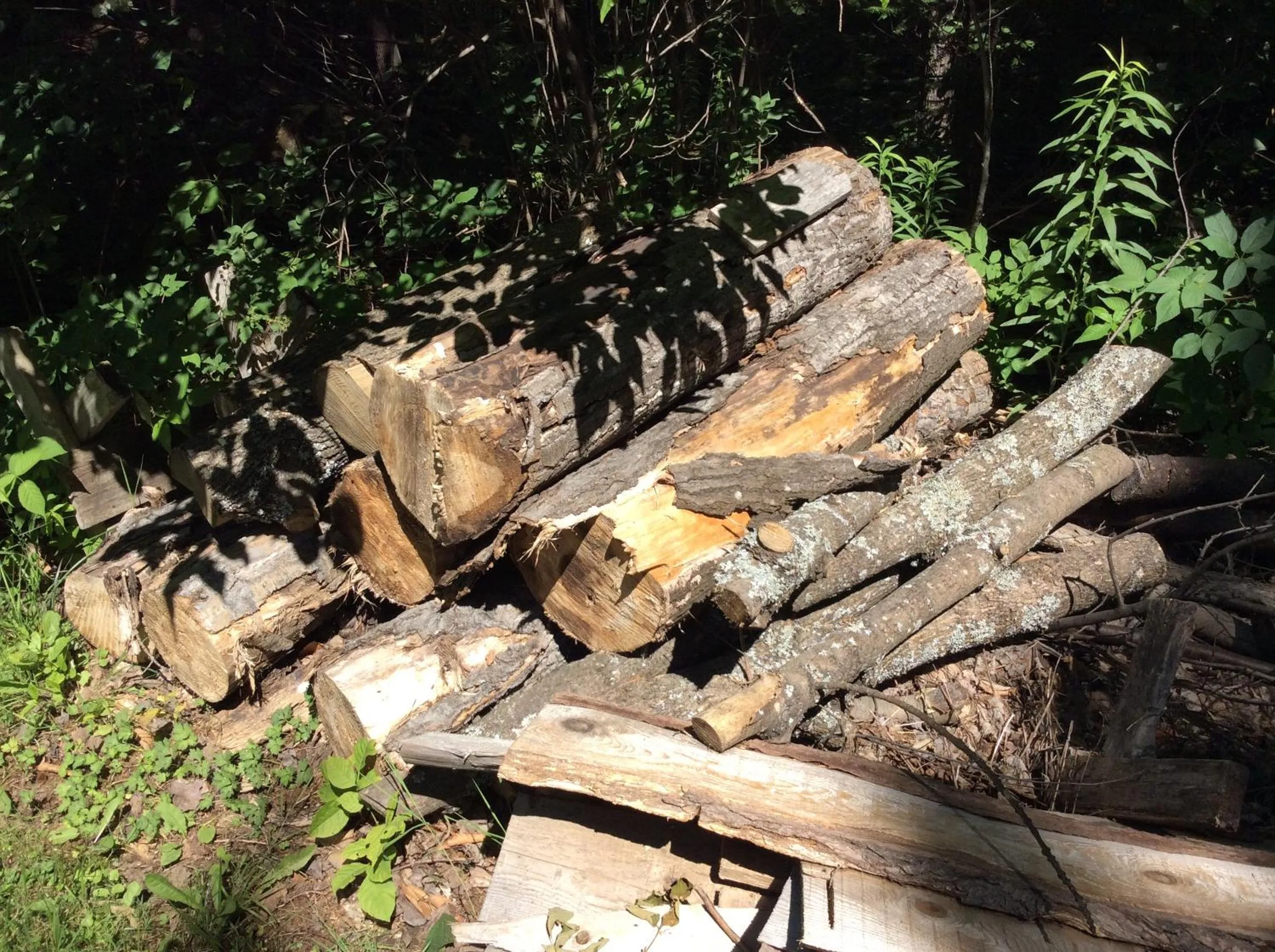 Natural landscape in Chez Lulu et Lutin