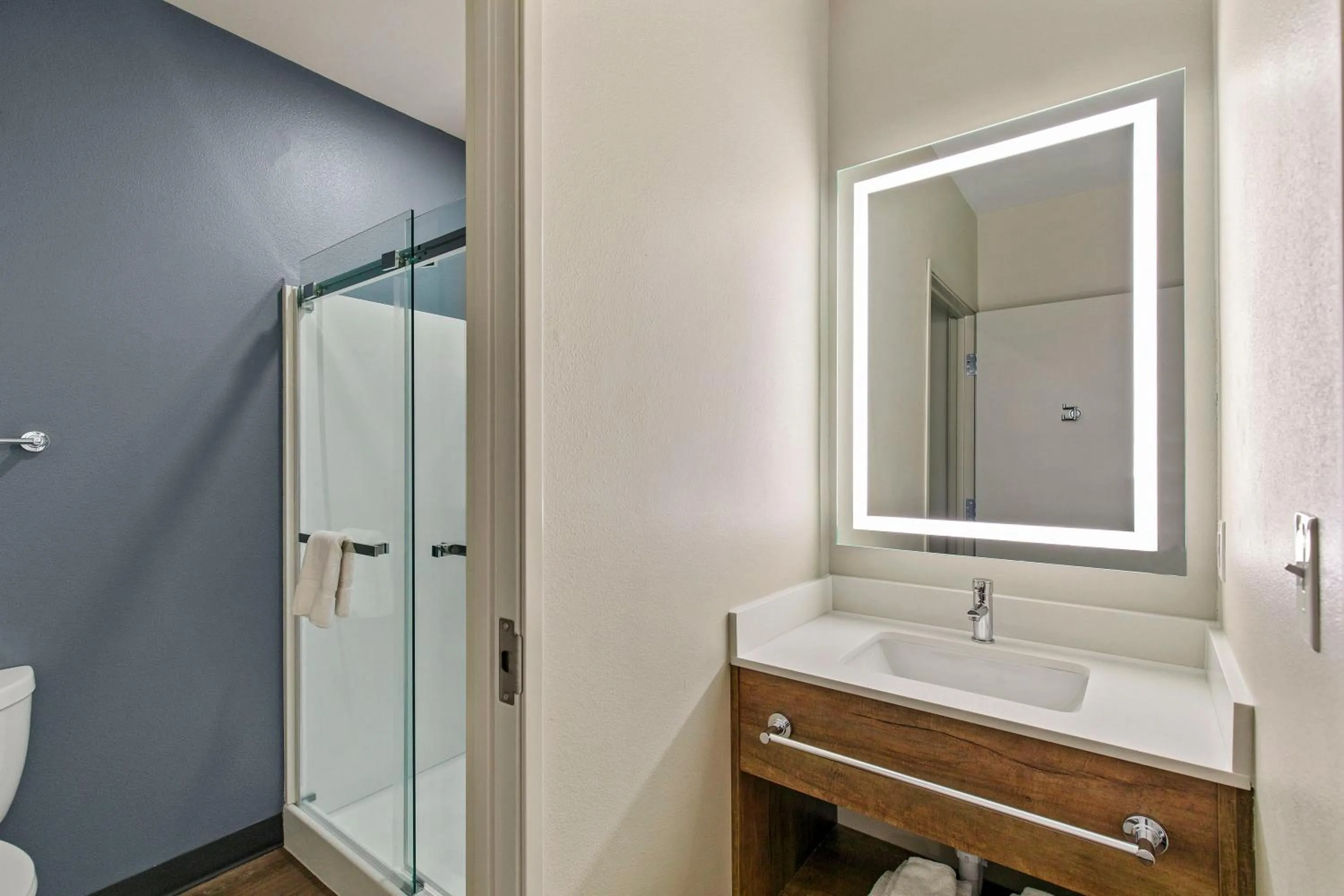 Bathroom in Extended Stay America Premier Suites - Tampa - Fairgrounds - Casino