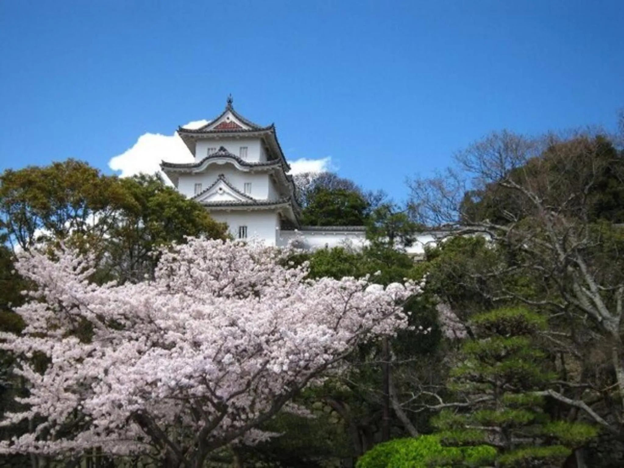 Akashi Castle Hotel - Vacation STAY 79268