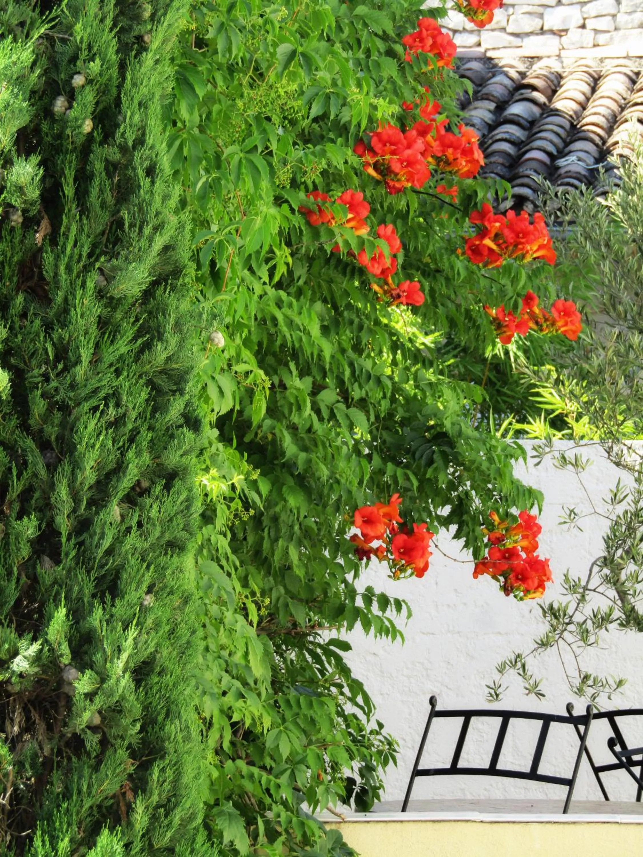 Patio in La Bastide de Canaules