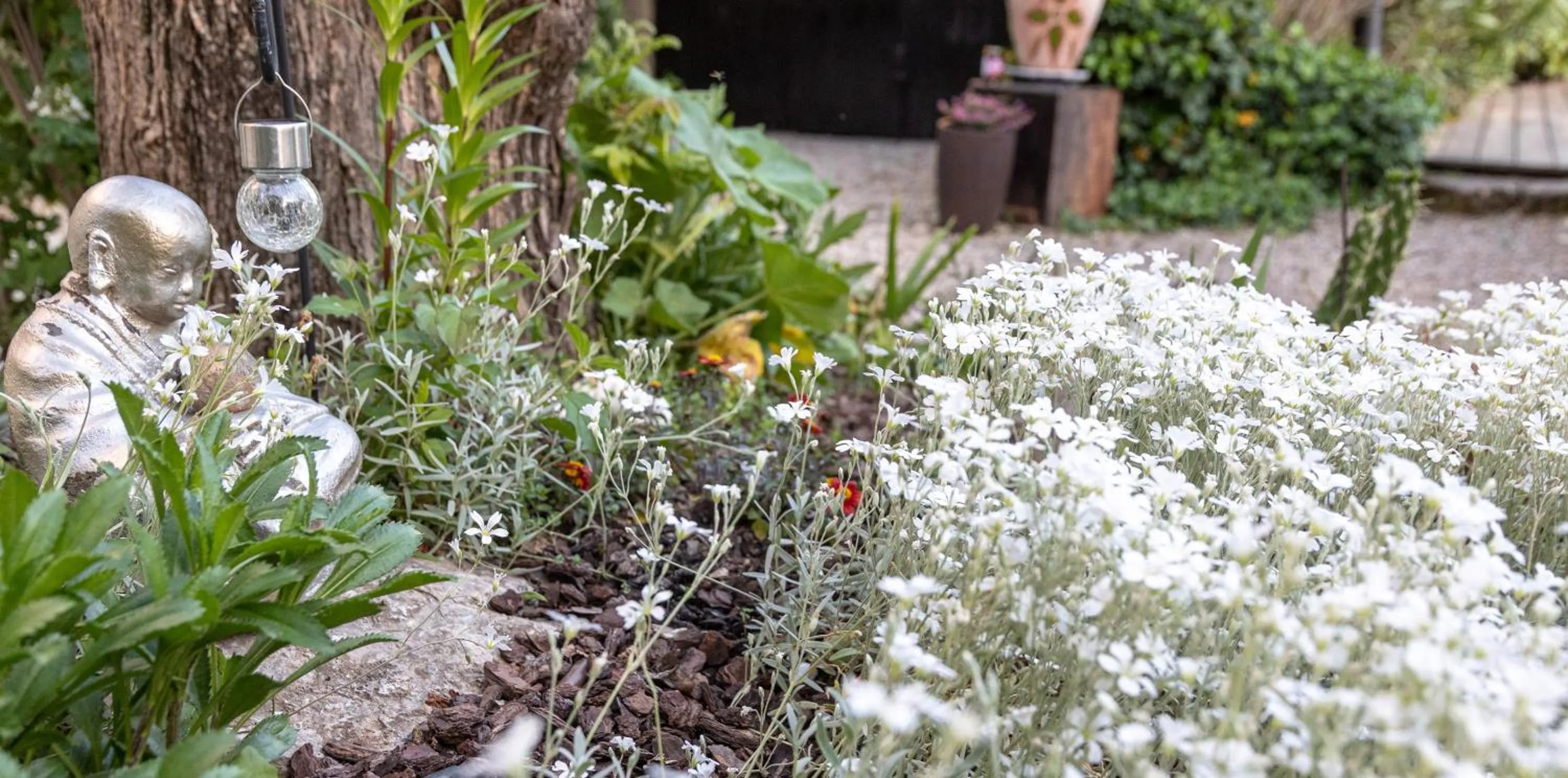 Property building in La Bastide de Canaules