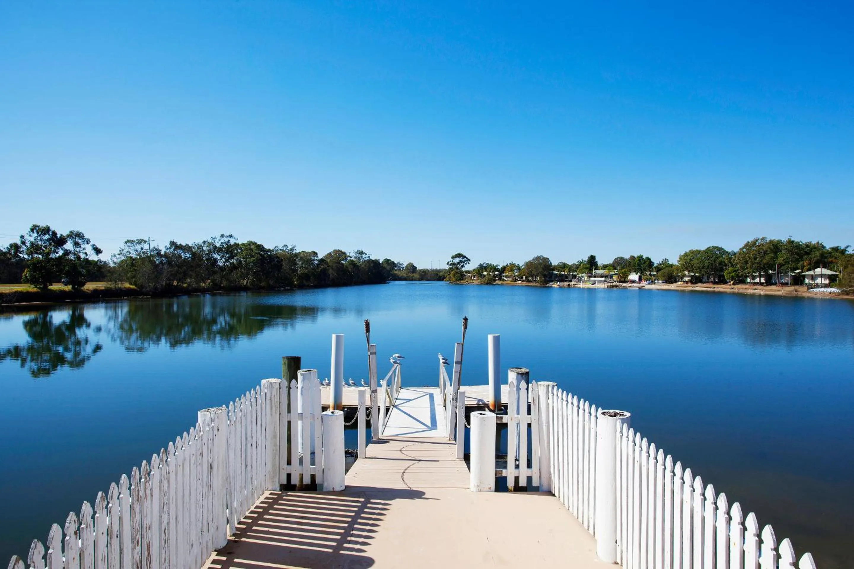 Natural landscape in Nightcap at Northern Grounds