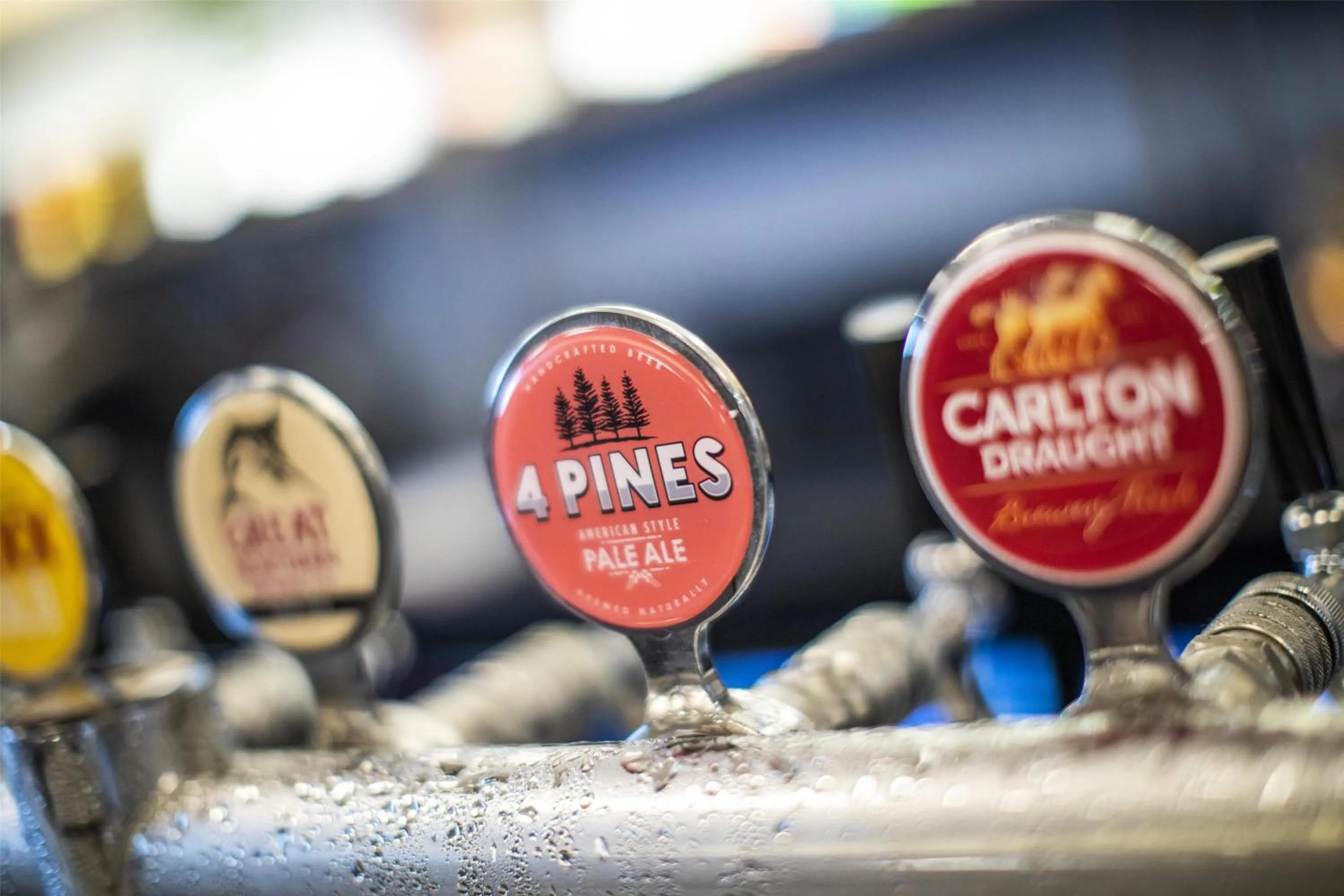 Lounge or bar in Nightcap at Pymble Hotel