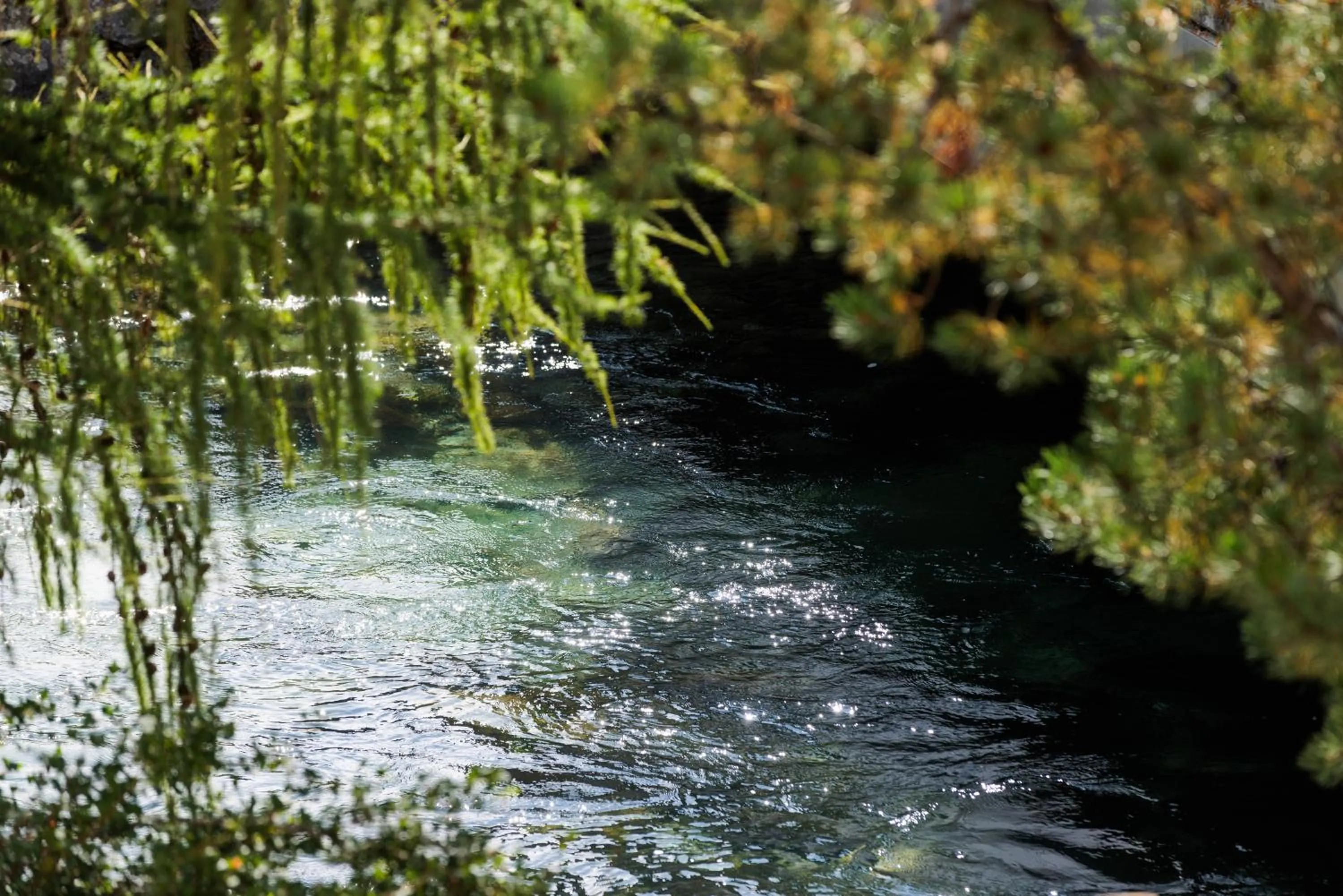 Hotel Chesa Rosatsch - Home of Food