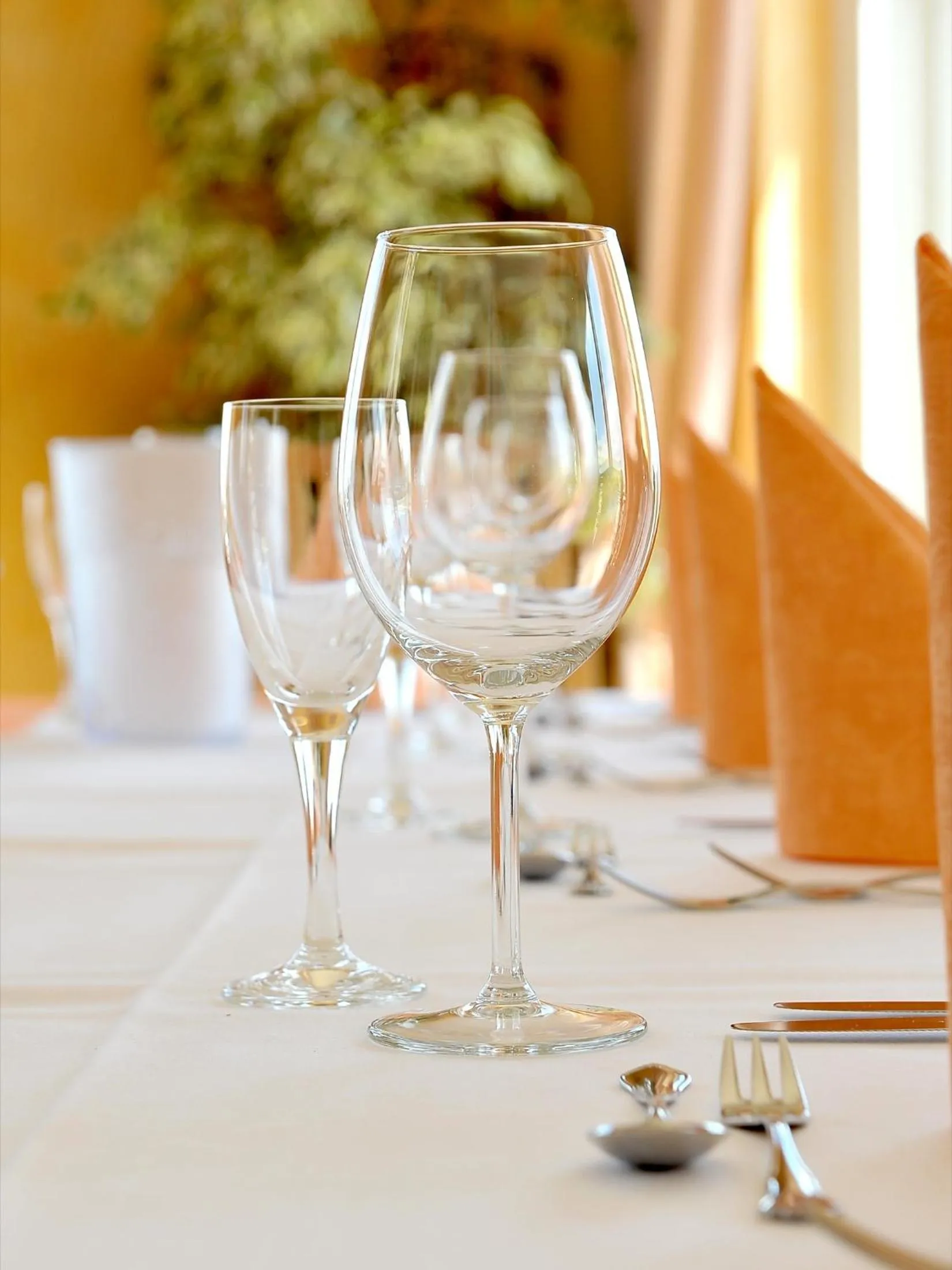 Restaurant/places to eat in Panorama Hotel am Frankenstein