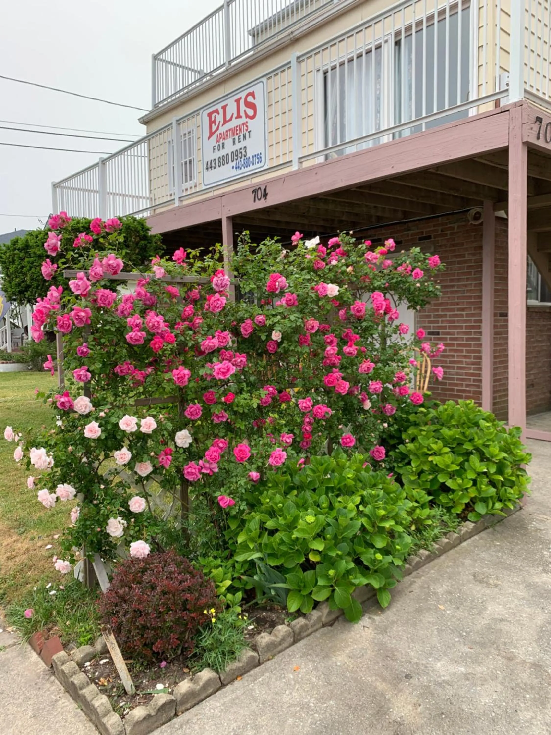 Property building in ELIS APARTMENT