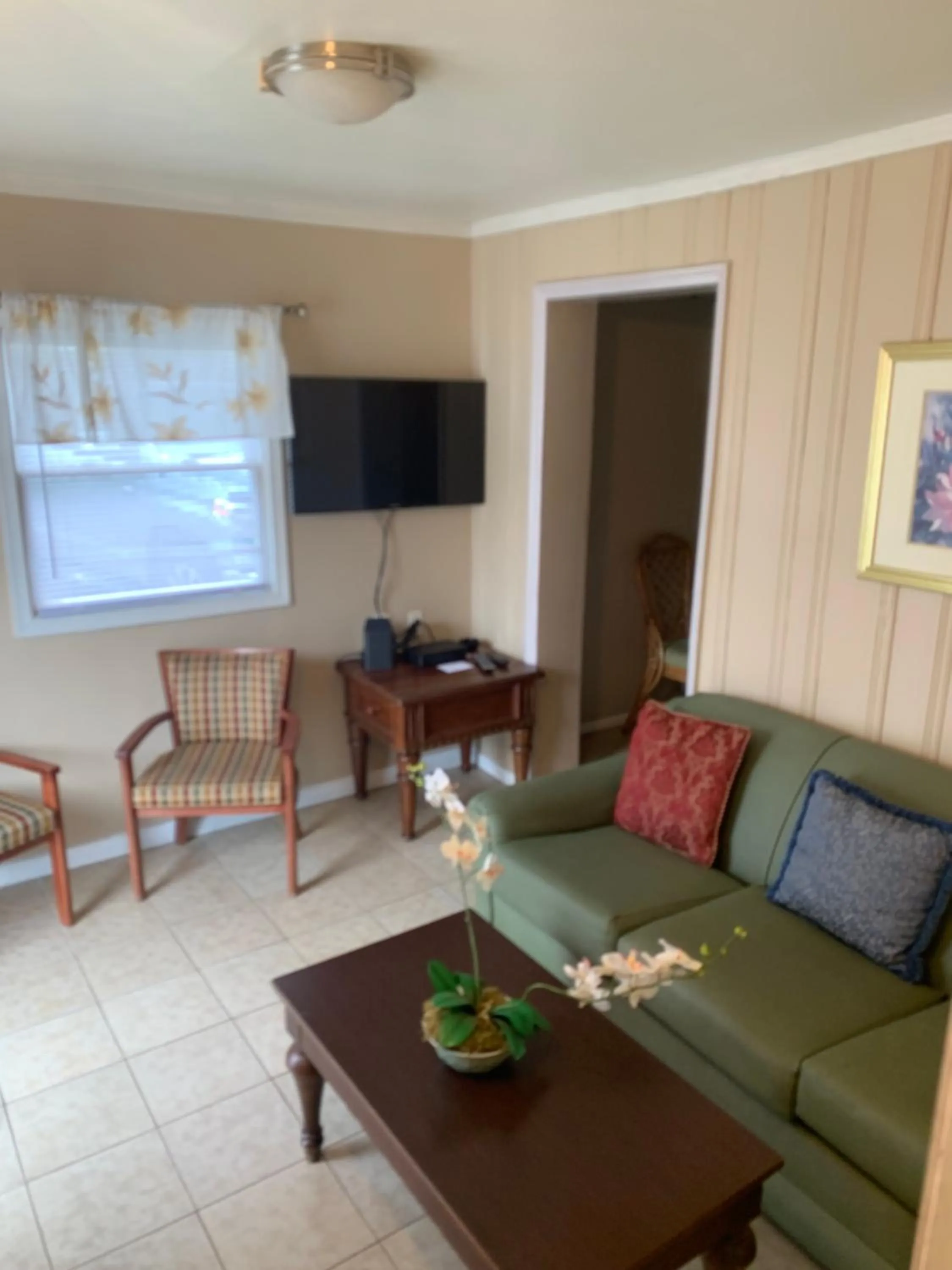 Living room in ELIS APARTMENT