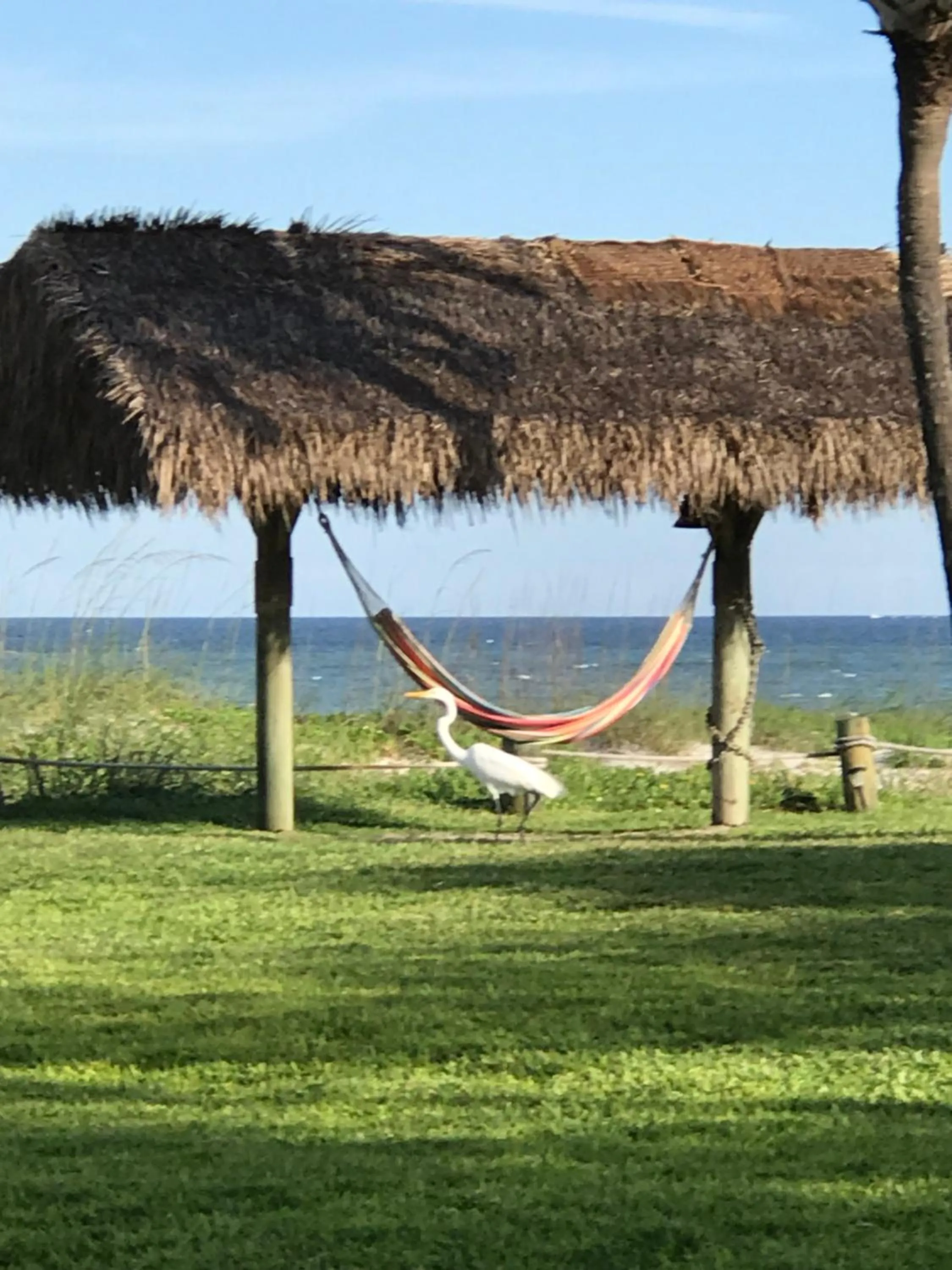 Beach in South Beach Inn - Cocoa Beach