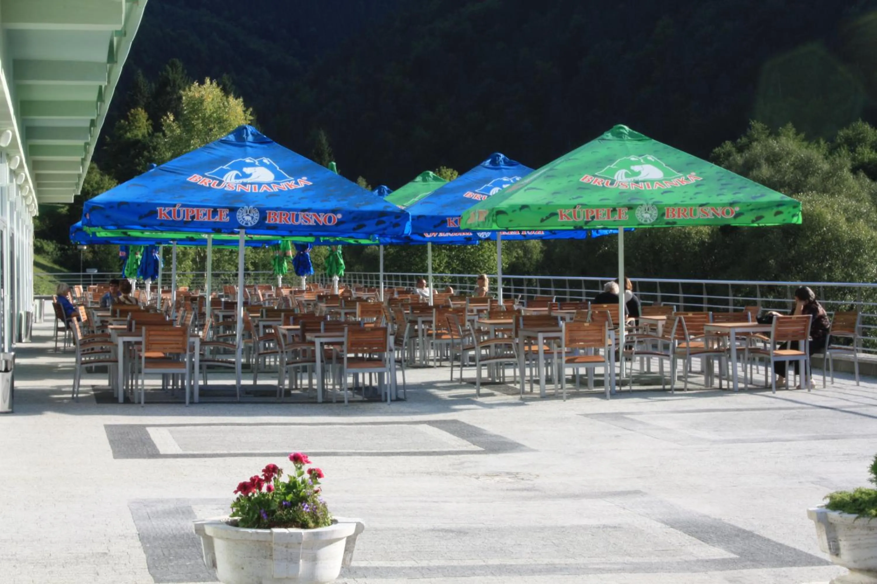 Restaurant/places to eat in Kúpele Brusno - Kúpeľný hotel Poľana