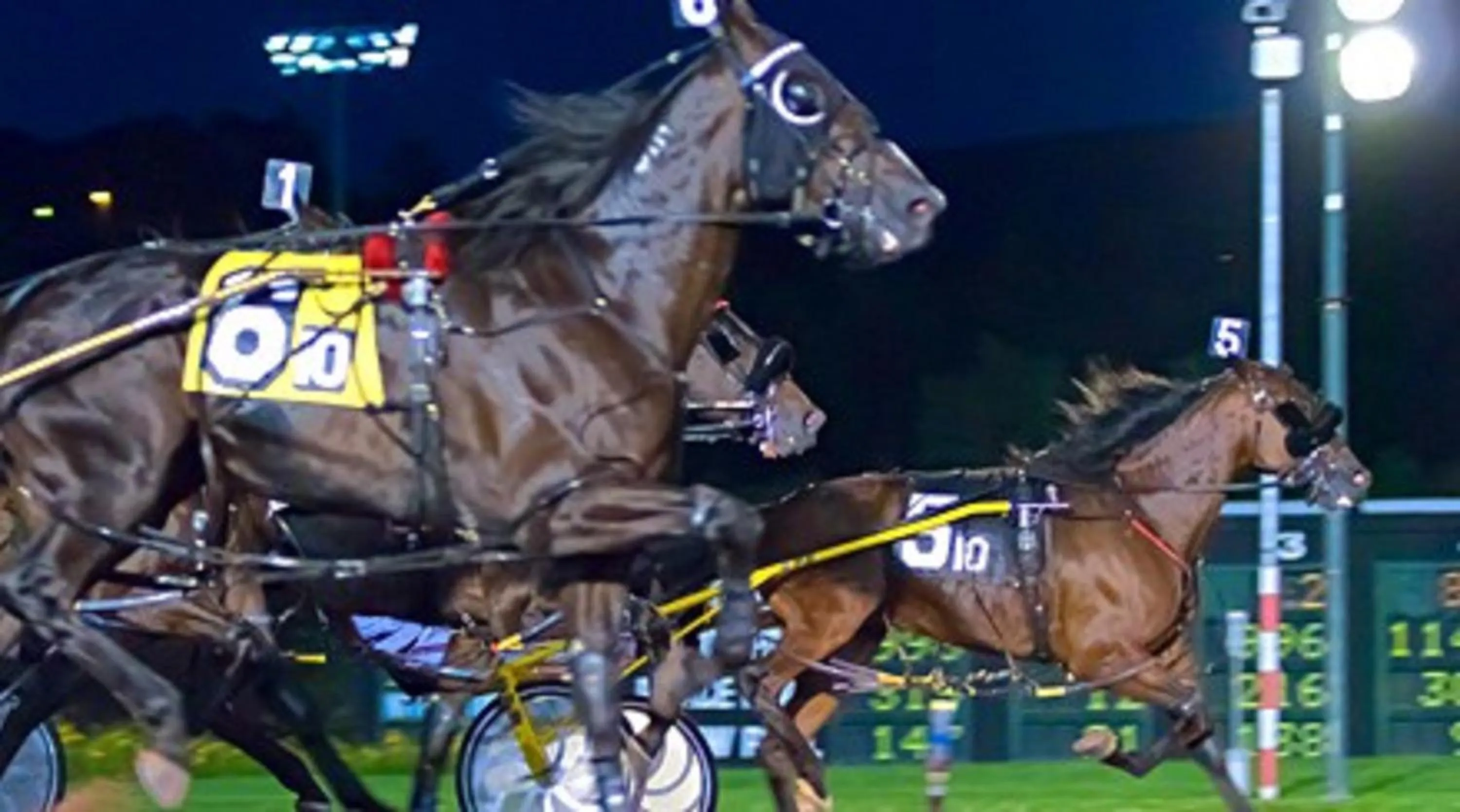 Entertainment in Mohegan Pennsylvania Casino Resort - Adults Only