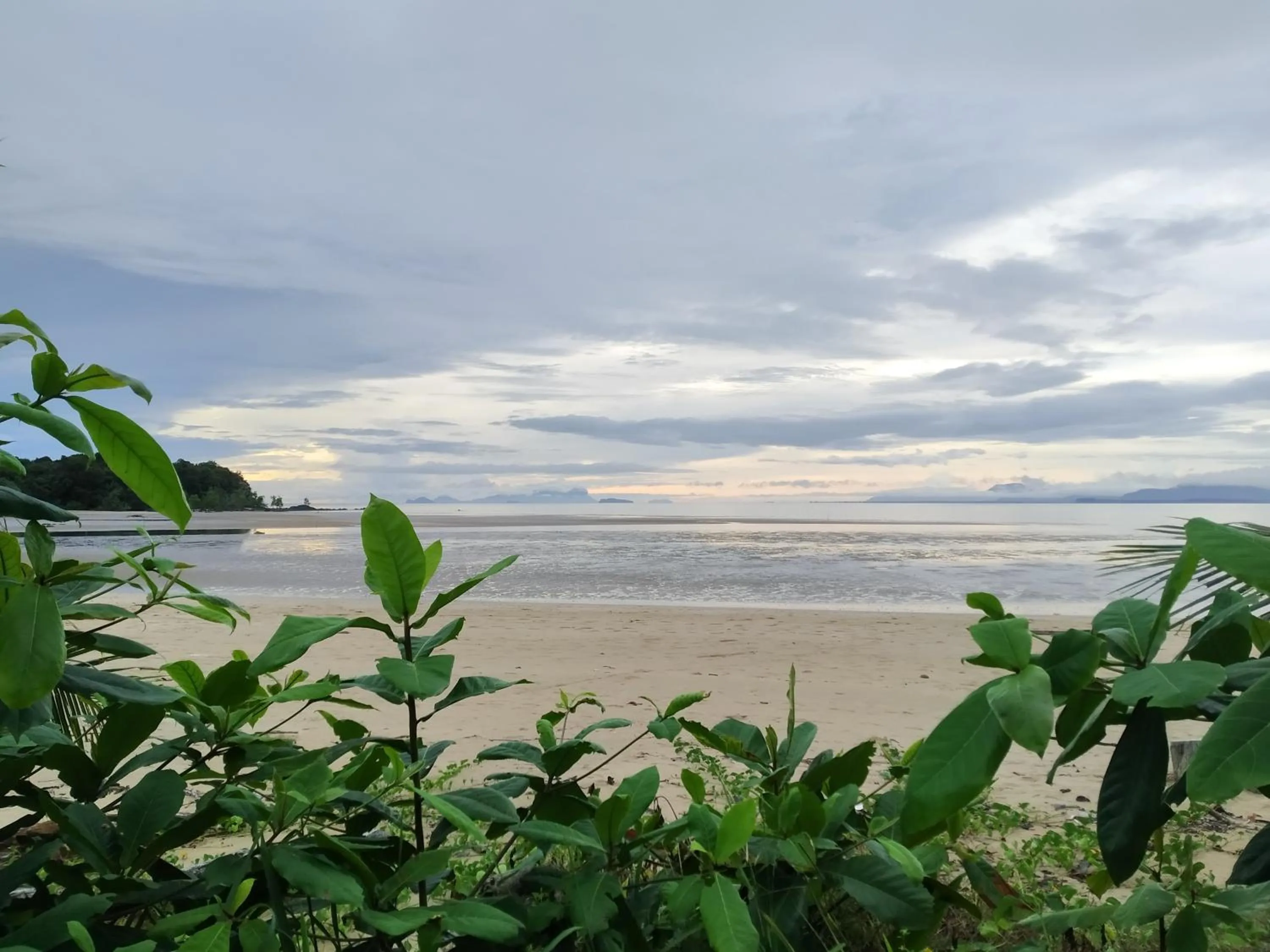 Beach in Rafflesia Resort
