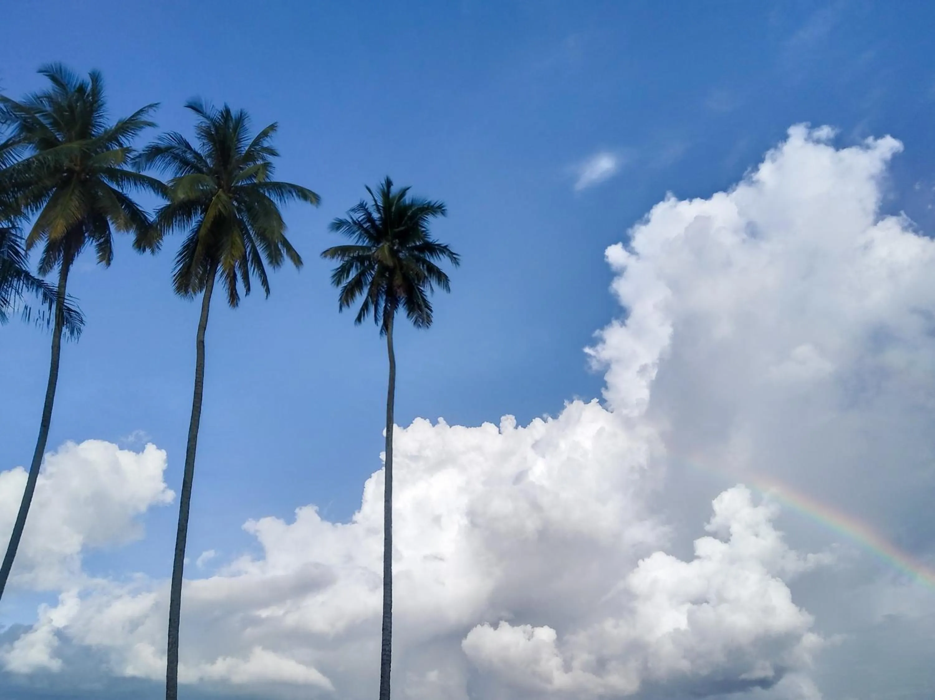 Natural landscape in Rafflesia Resort