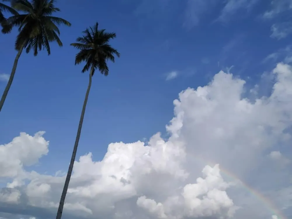 Property building in Rafflesia Resort