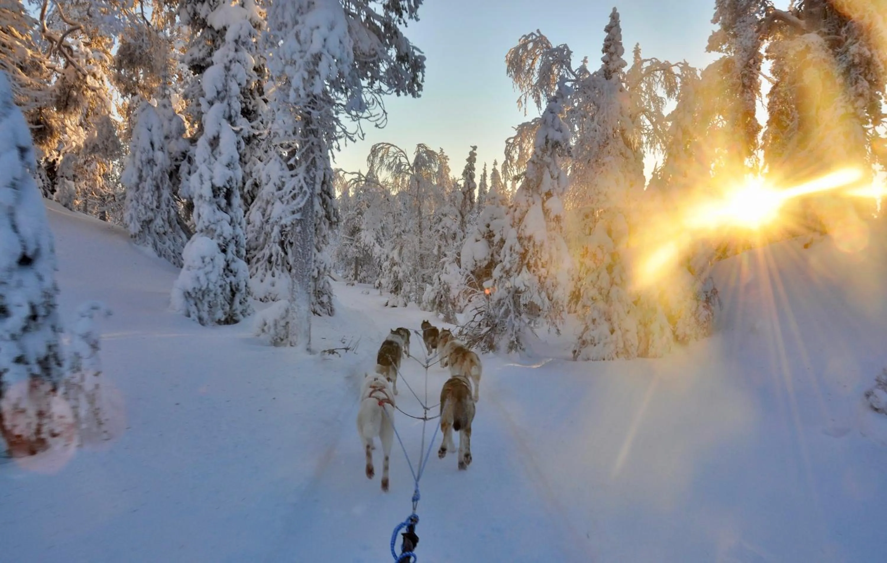 Winter in Metsä Kolo
