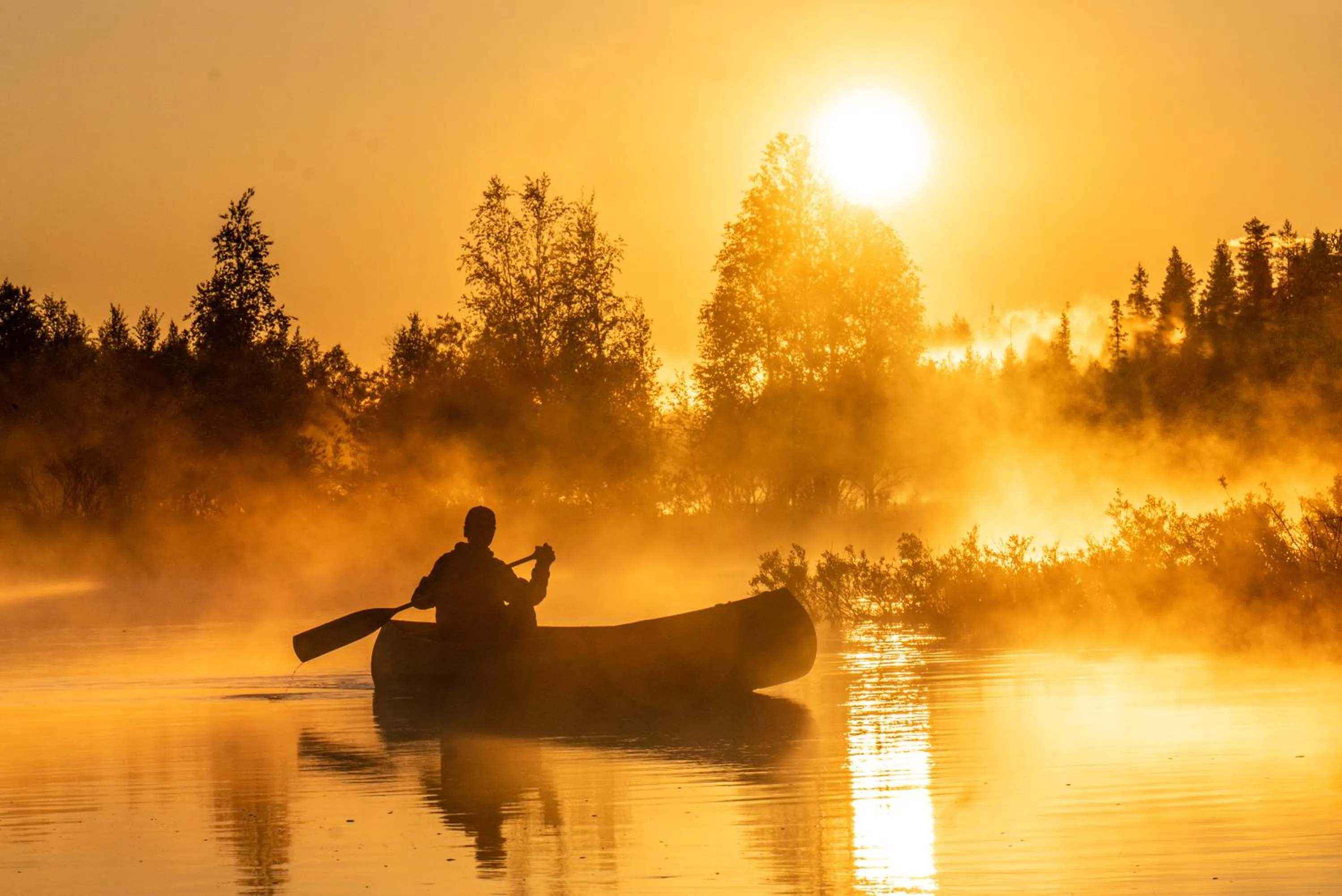Canoeing in Metsä Kolo