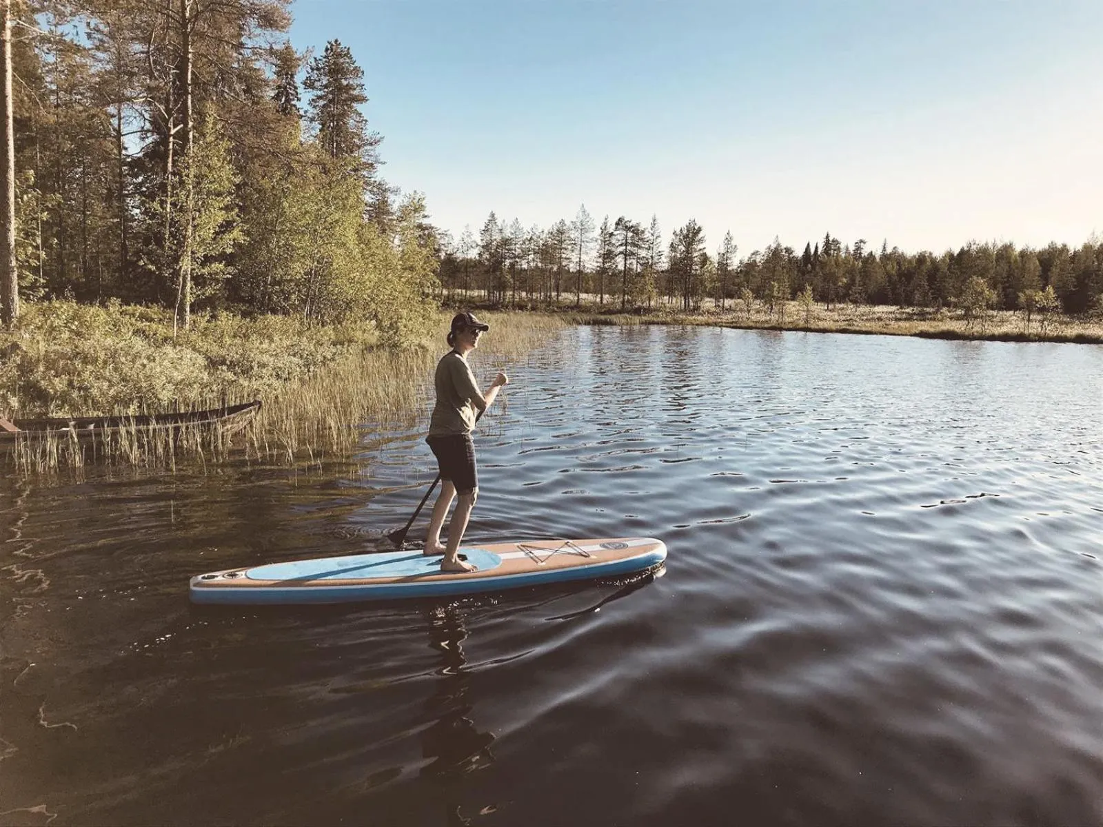 Lake view in Metsä Kolo