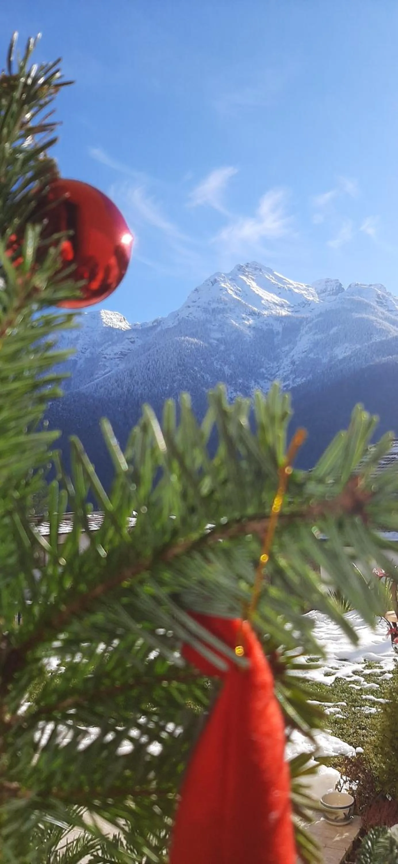 Natural landscape in B&B SognoInCadore