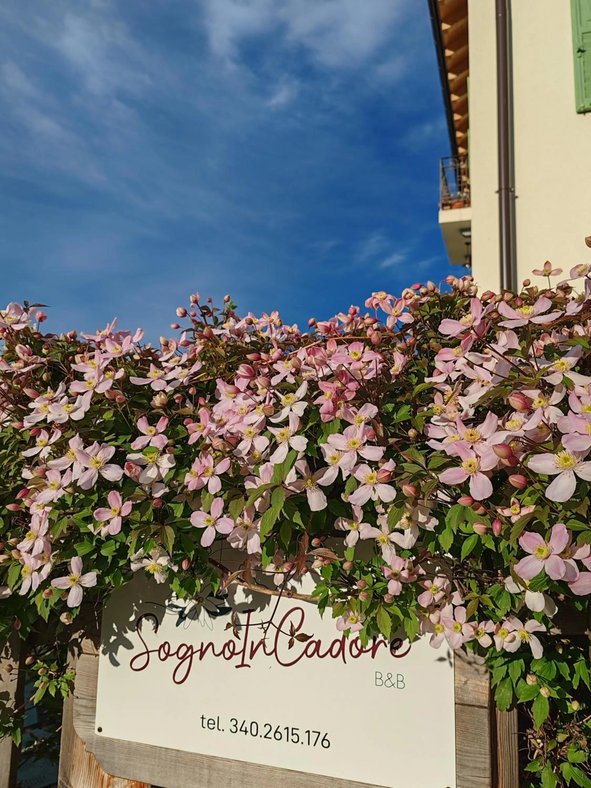 Spring in B&B SognoInCadore