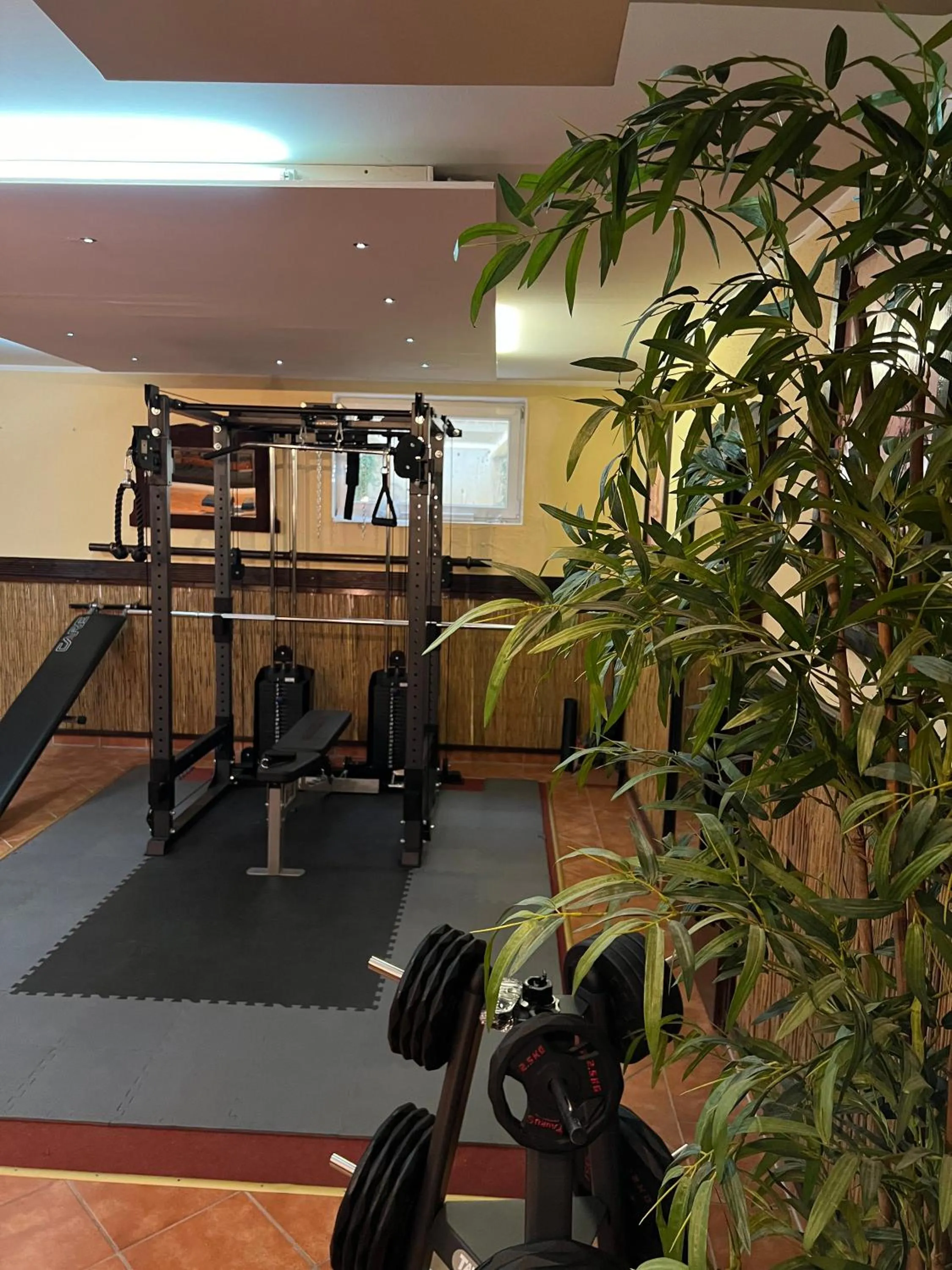 Fitness centre/facilities in Runas Hotel