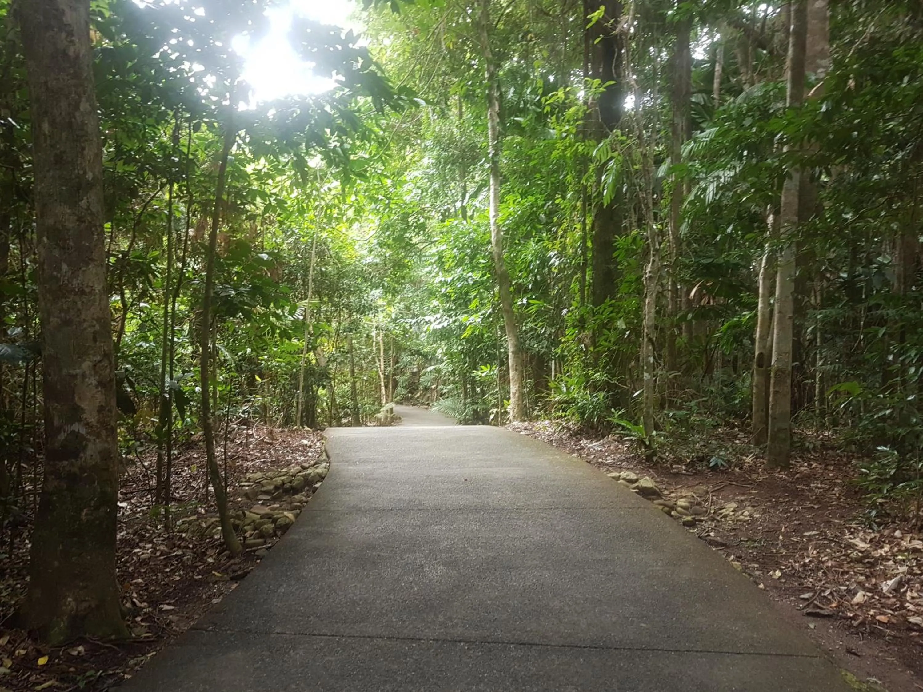 Property building in Cape Trib Beach House