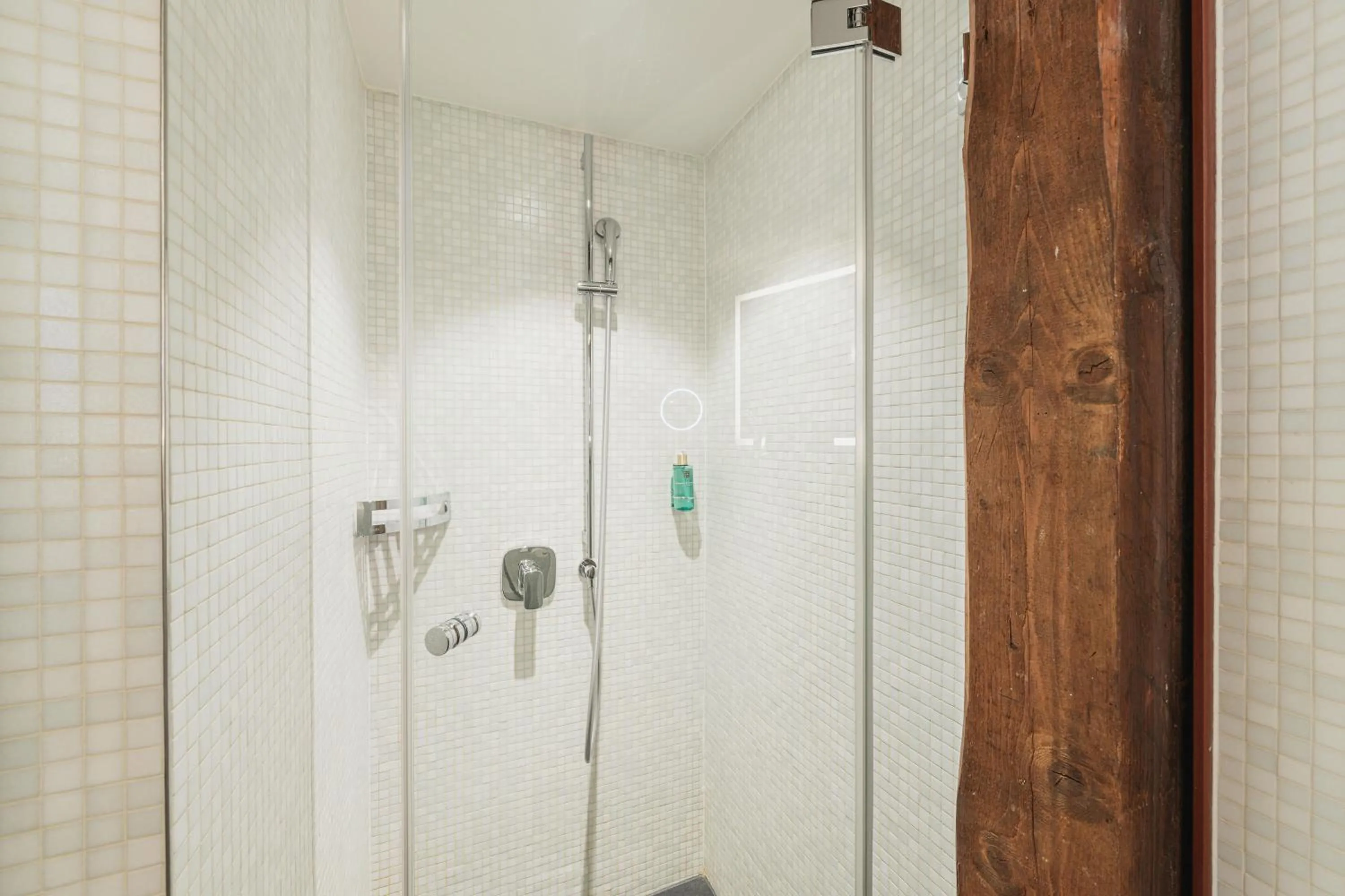 Shower in Tailormade Hotel RÜDEN Schaffhausen