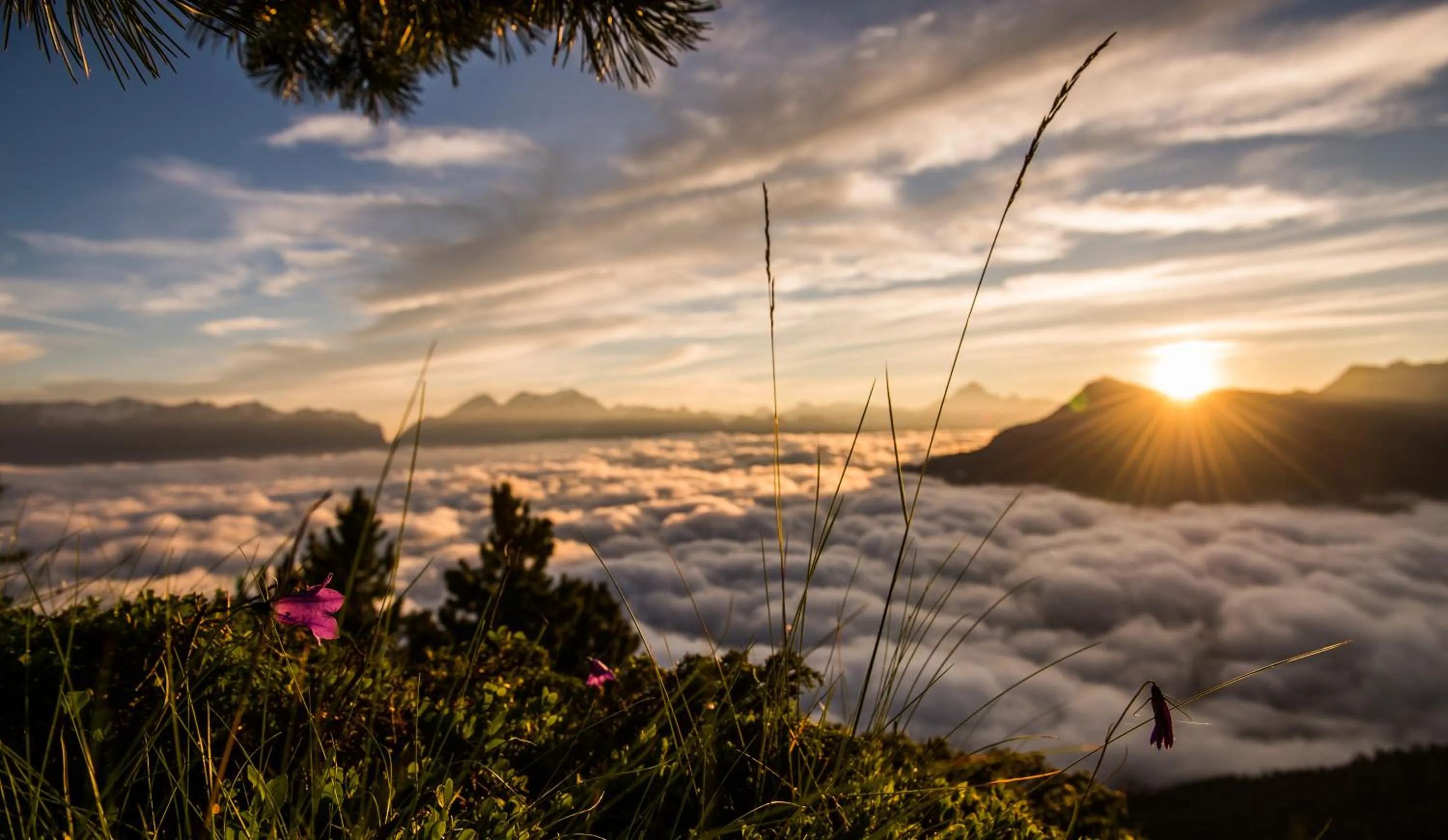 Natural landscape in Victoria Retreat