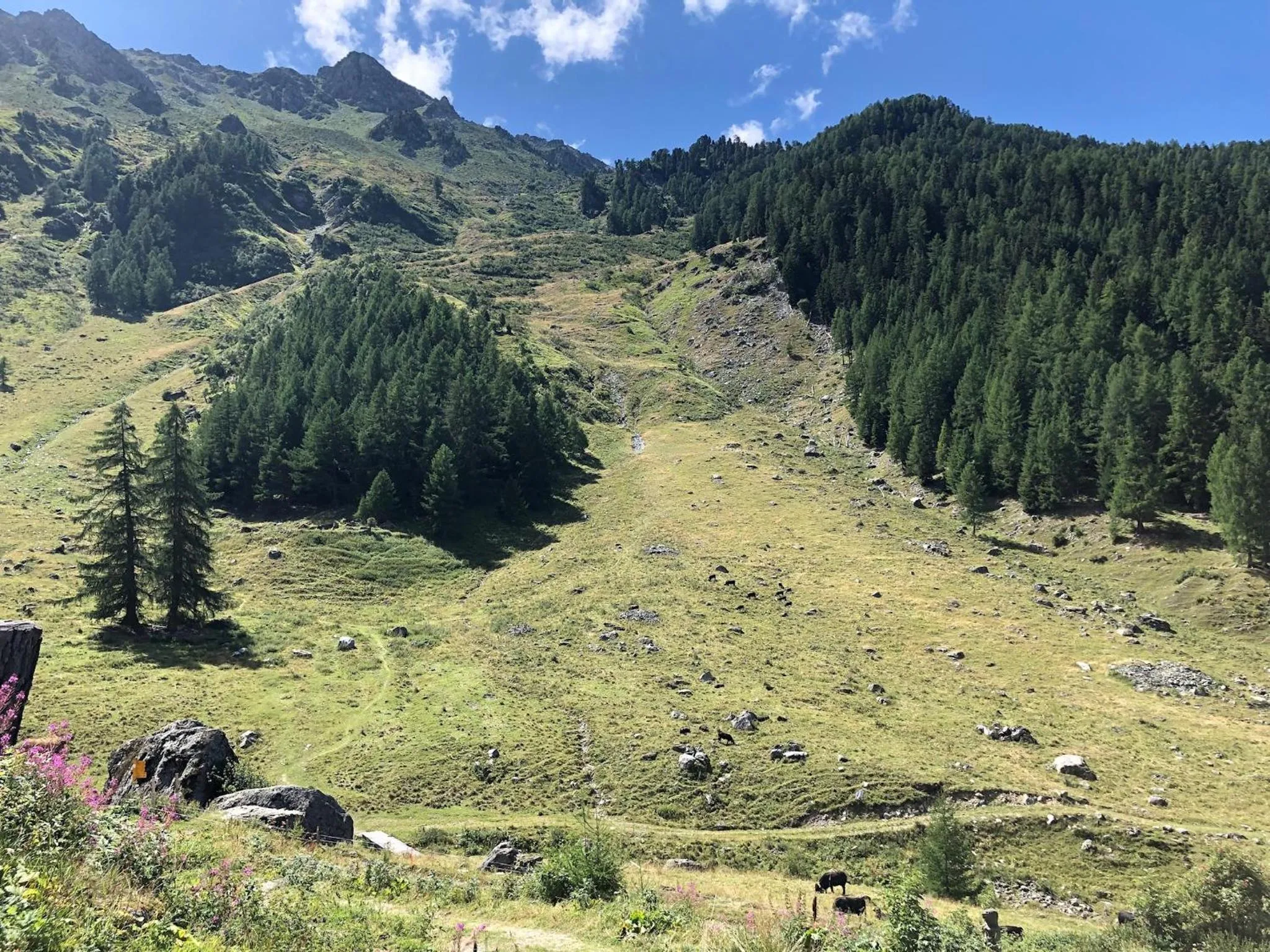 Natural landscape in Victoria Retreat