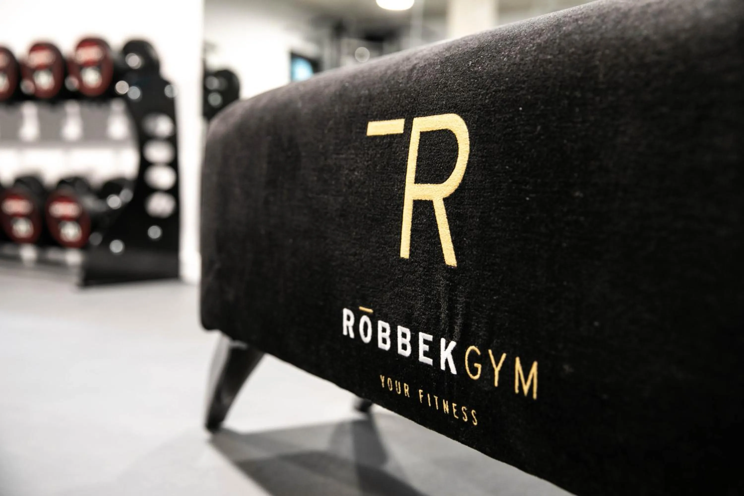 Fitness centre/facilities in The Roebbek x Hanse