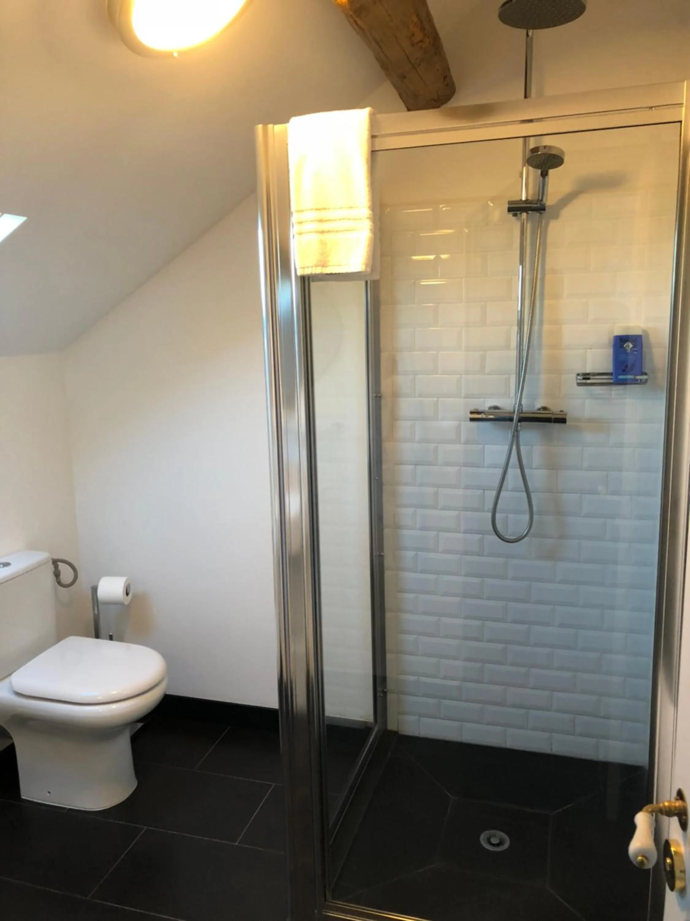 Toilet in Chateau De La Goujonnerie