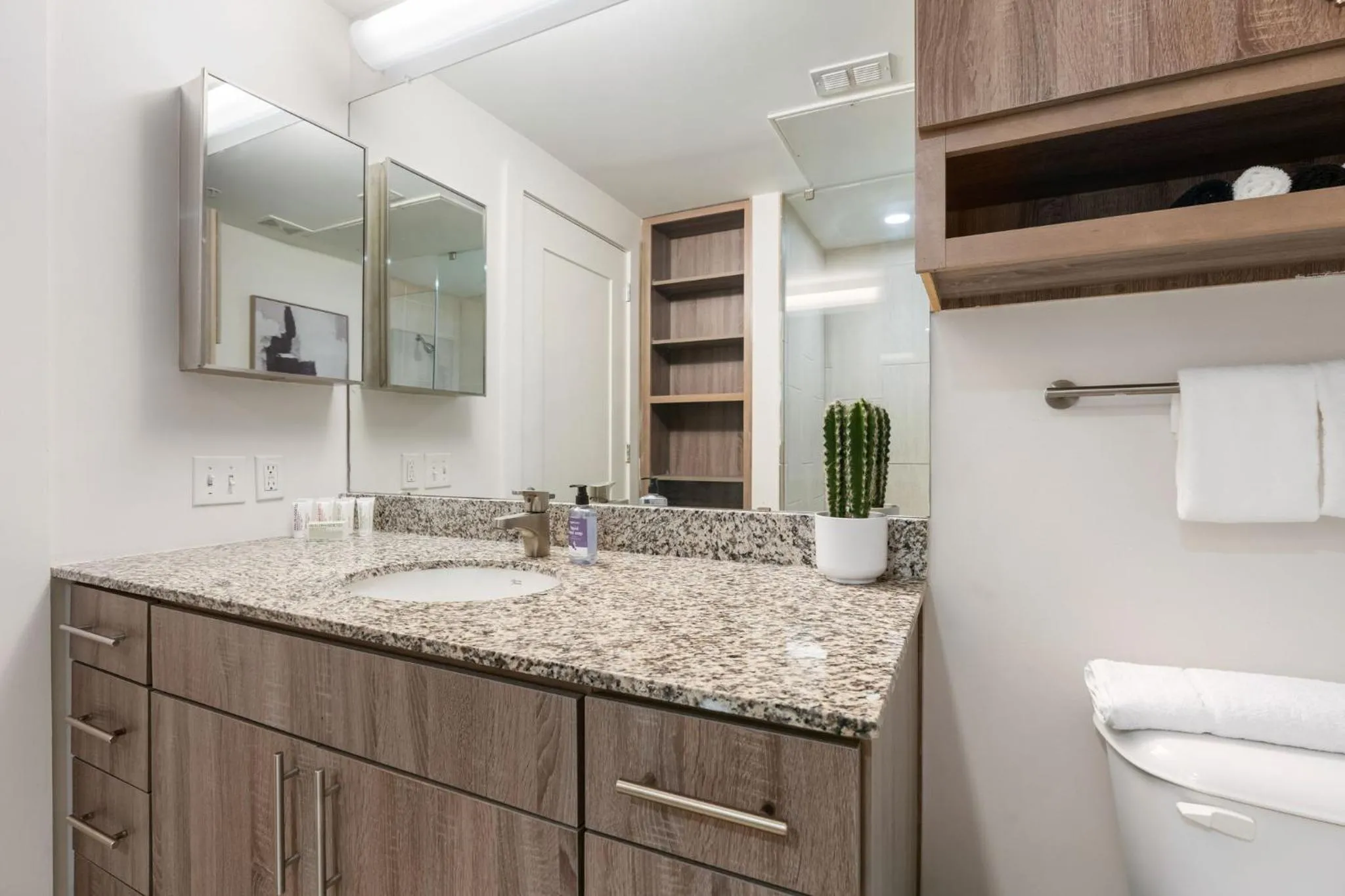 Bathroom in Lodgeur Midtown, Houston - close to Downtown & Texas Medical Center
