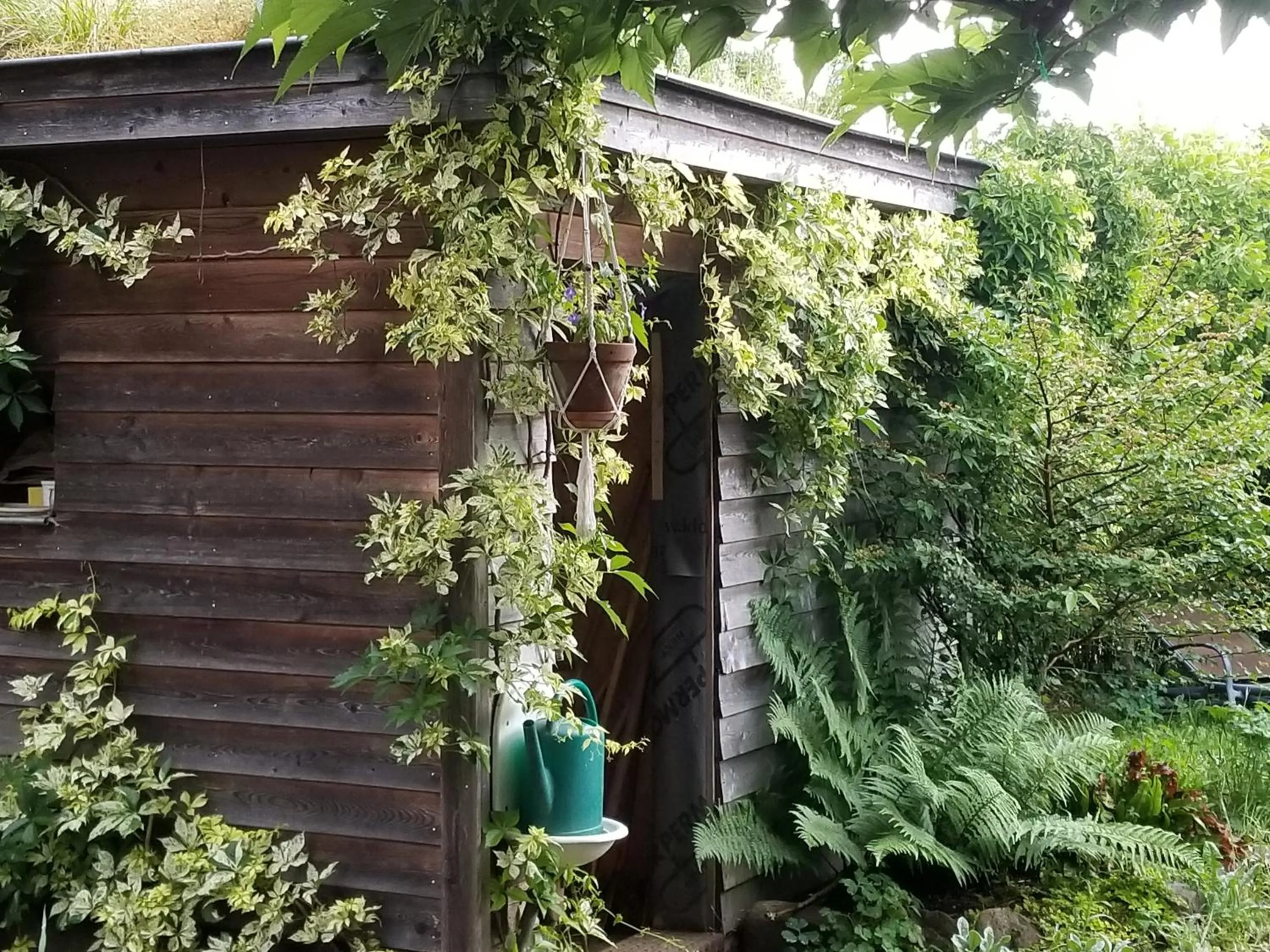 Garden in chambre d'hôtes de charme, un temps en forêt