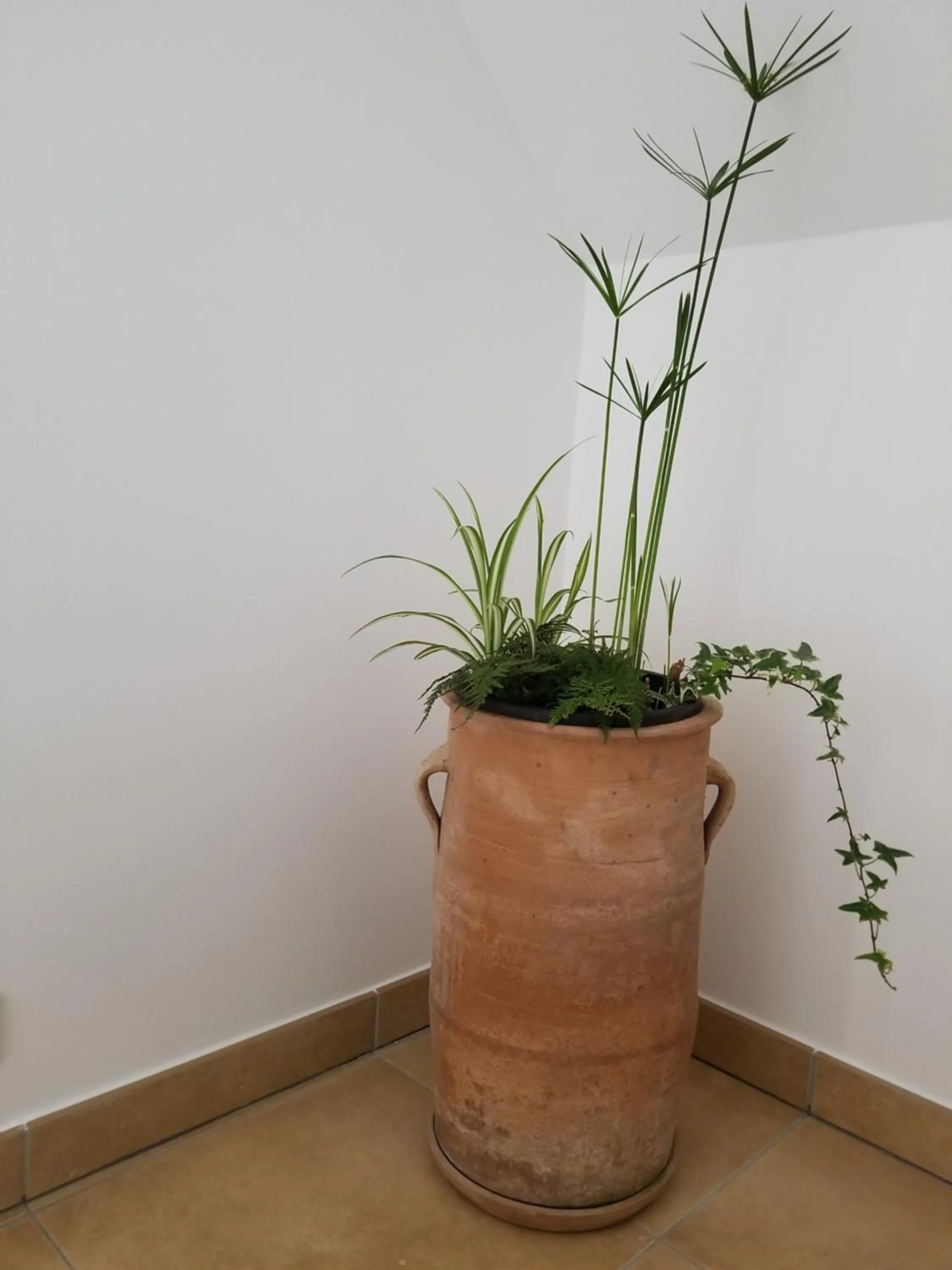 Decorative detail in chambre d'hôtes de charme, un temps en forêt