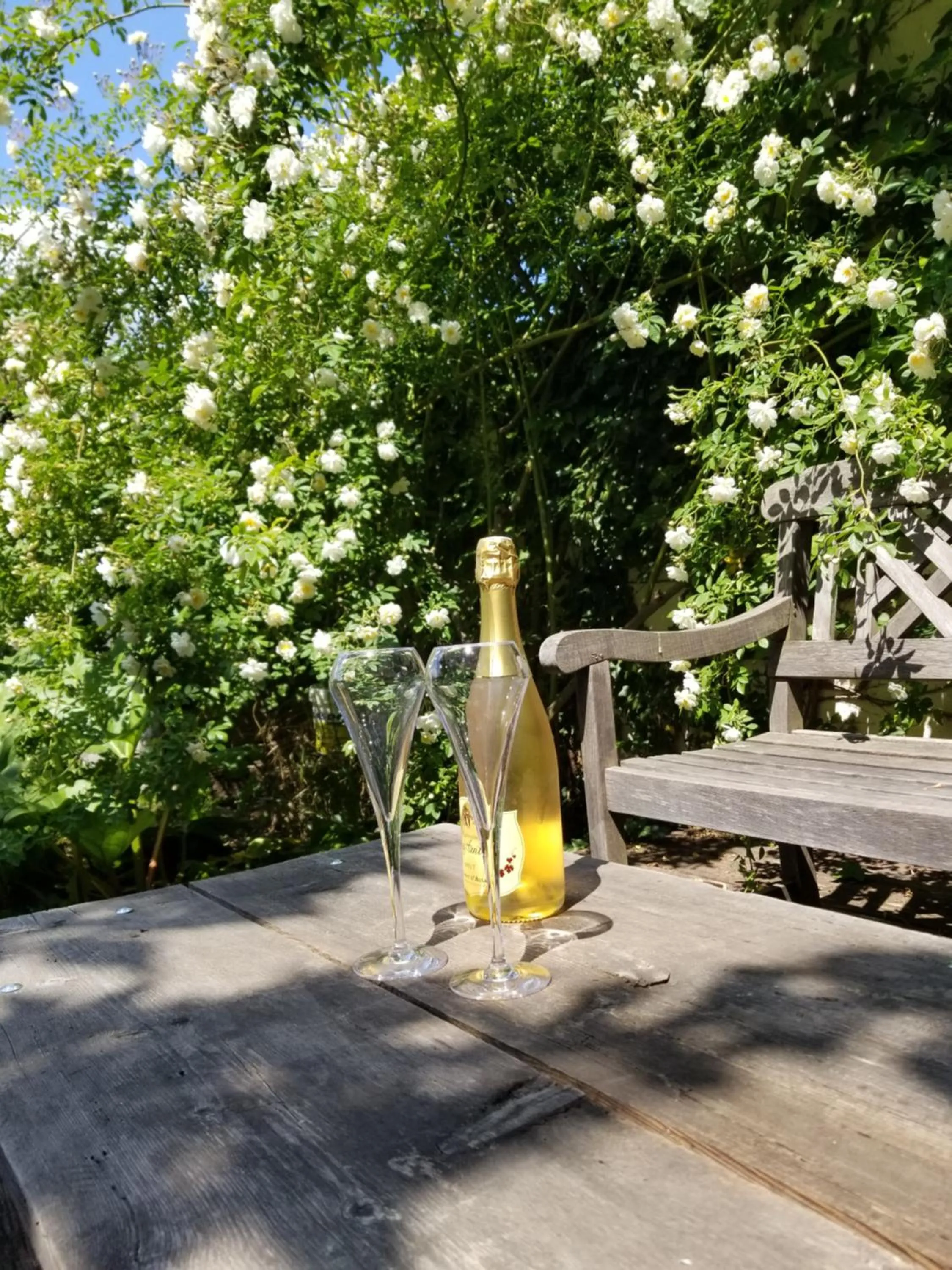Patio in chambre d'hôtes de charme, un temps en forêt